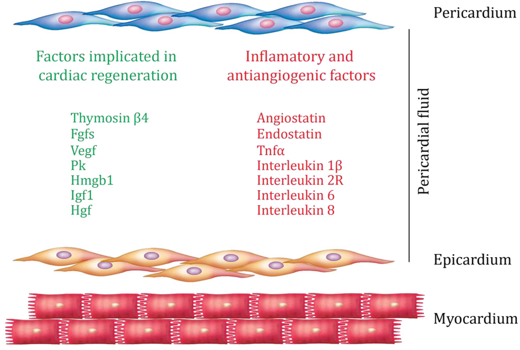 Jdb 01 00141 g004 1024