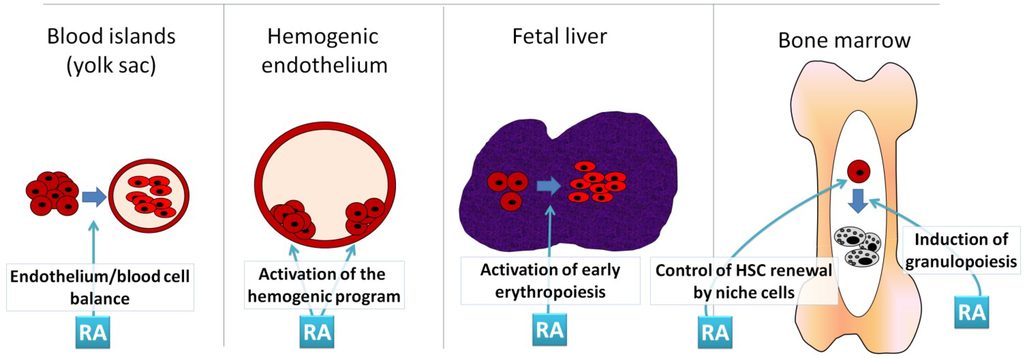 Jdb 02 00018 g001 1024