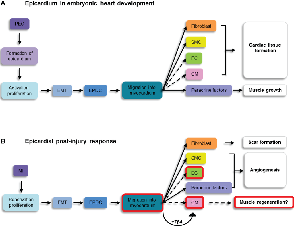 Jdb 02 00084 g001 1024