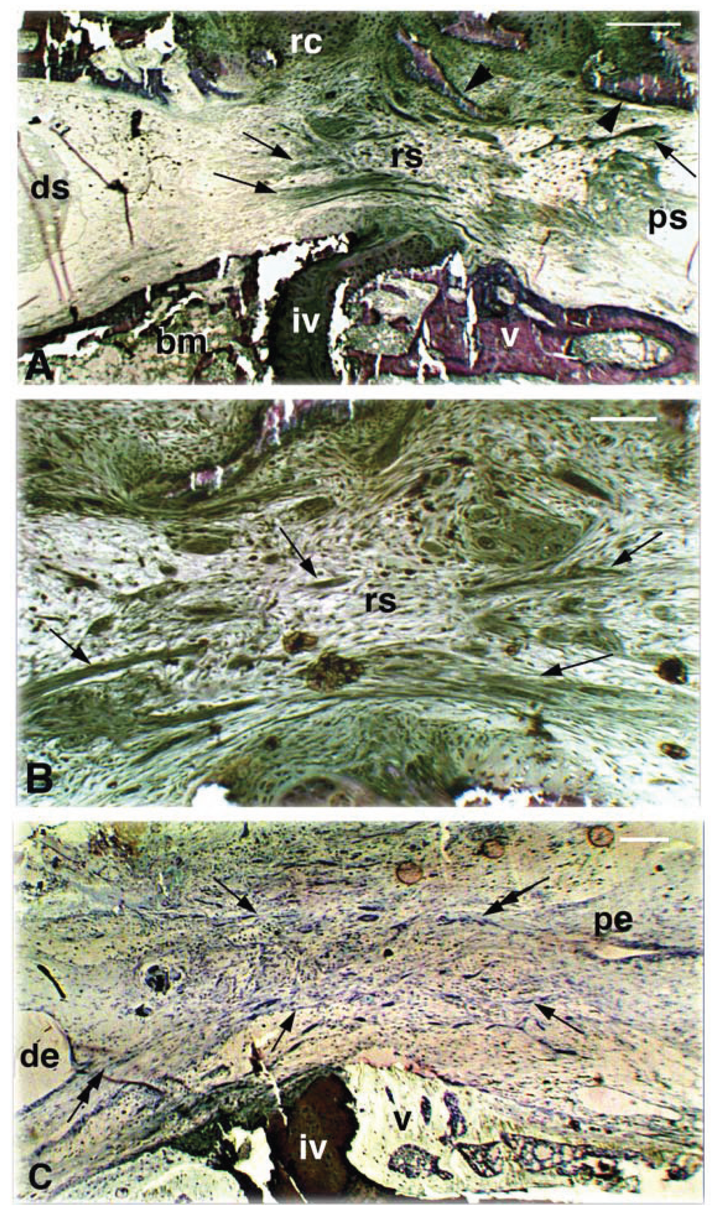 Jdb 02 00210 g003 1024