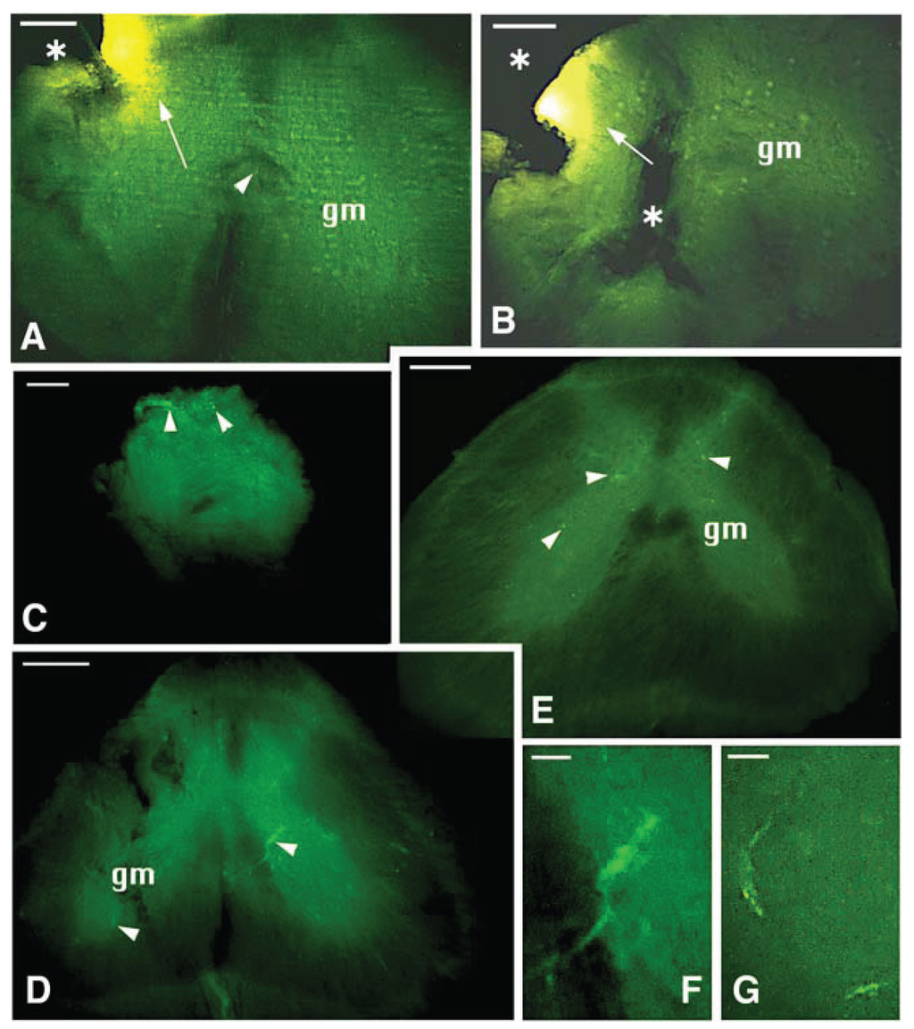 Jdb 02 00210 g008 1024