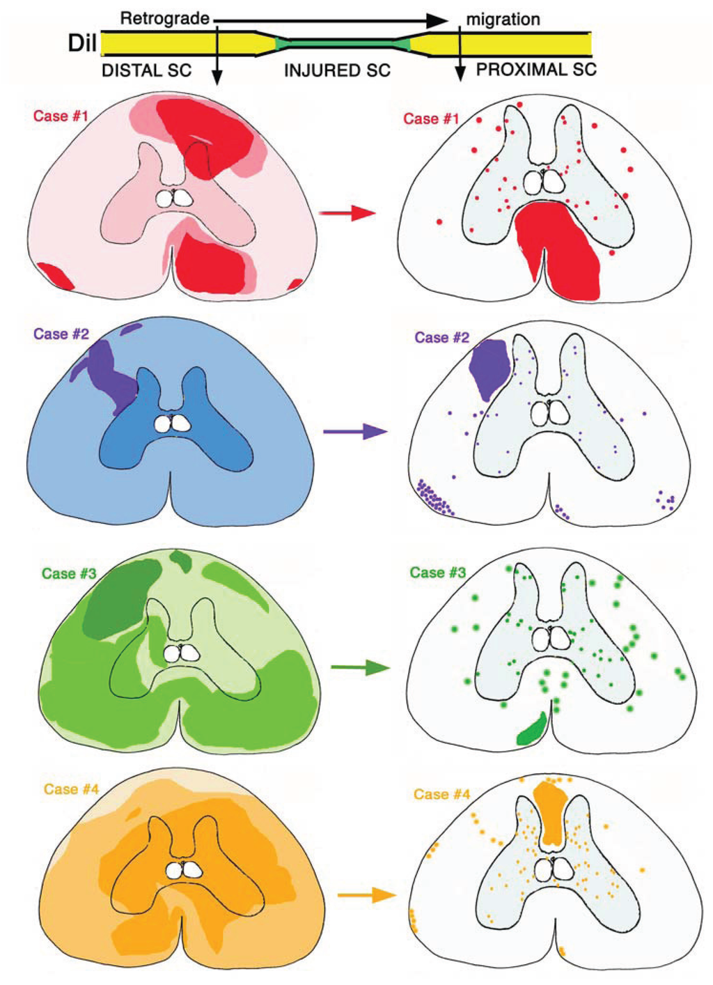 Jdb 02 00210 g009 1024