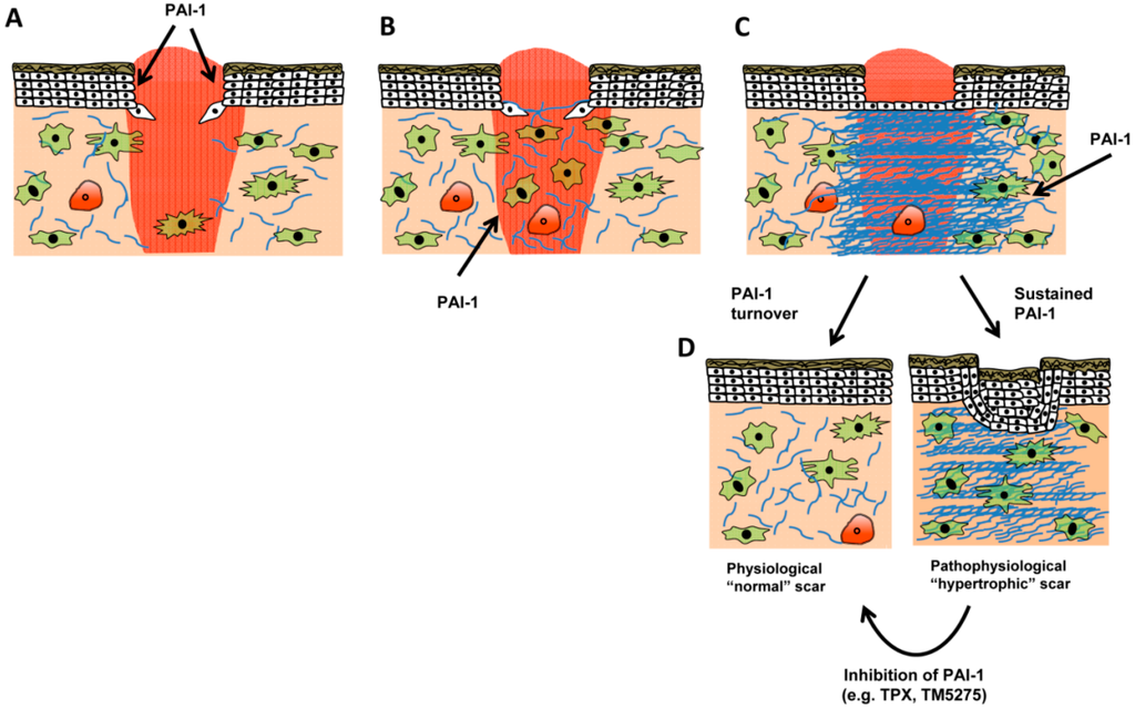 Jdb 03 00011 g005 1024