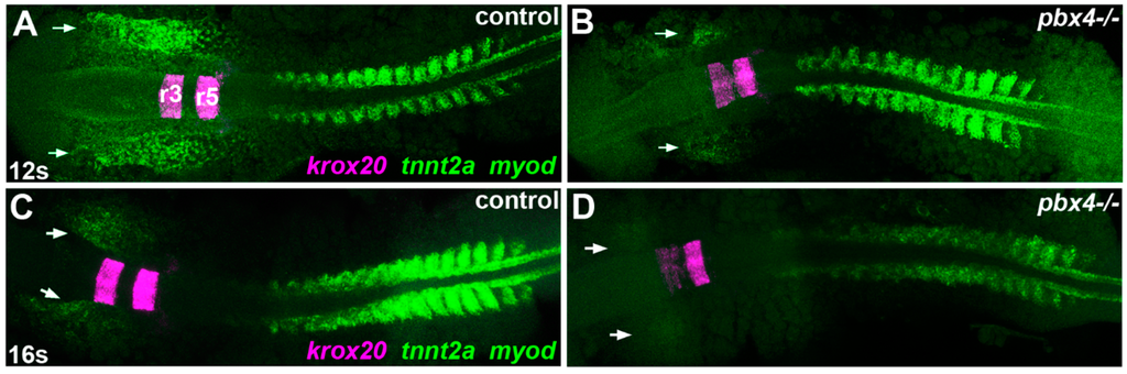 Jdb 03 00093 g002a 1024