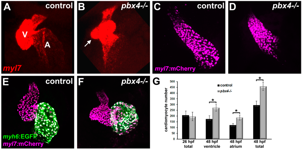 Jdb 03 00093 g004a 1024