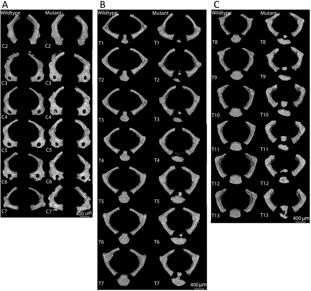 Jdb 03 00158 g003 1024