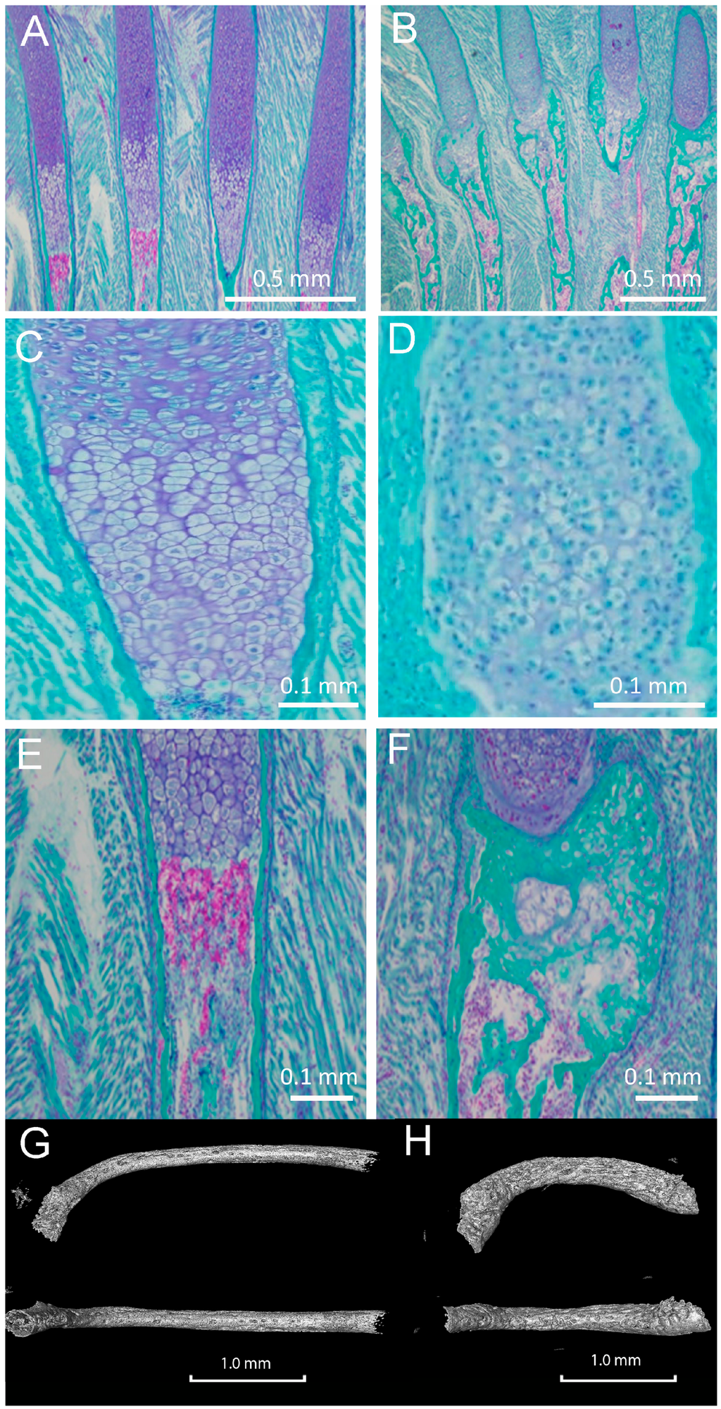 Jdb 03 00158 g006 1024