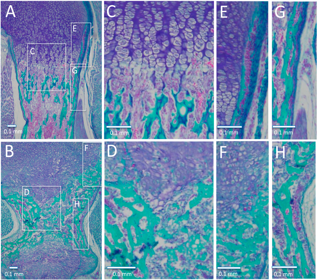 Jdb 03 00158 g007 1024