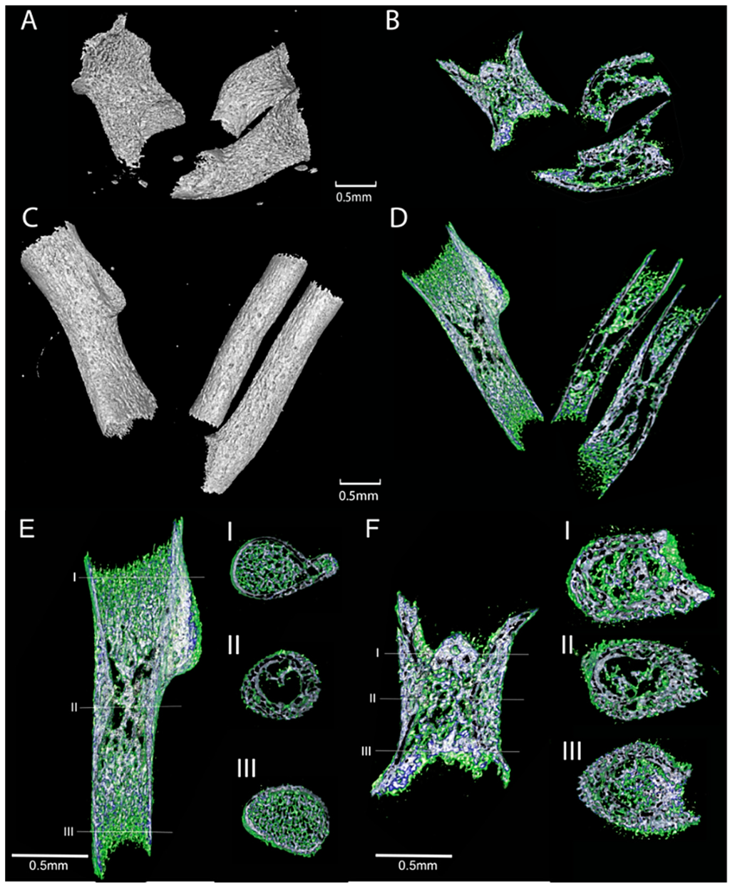 Jdb 03 00158 g008 1024