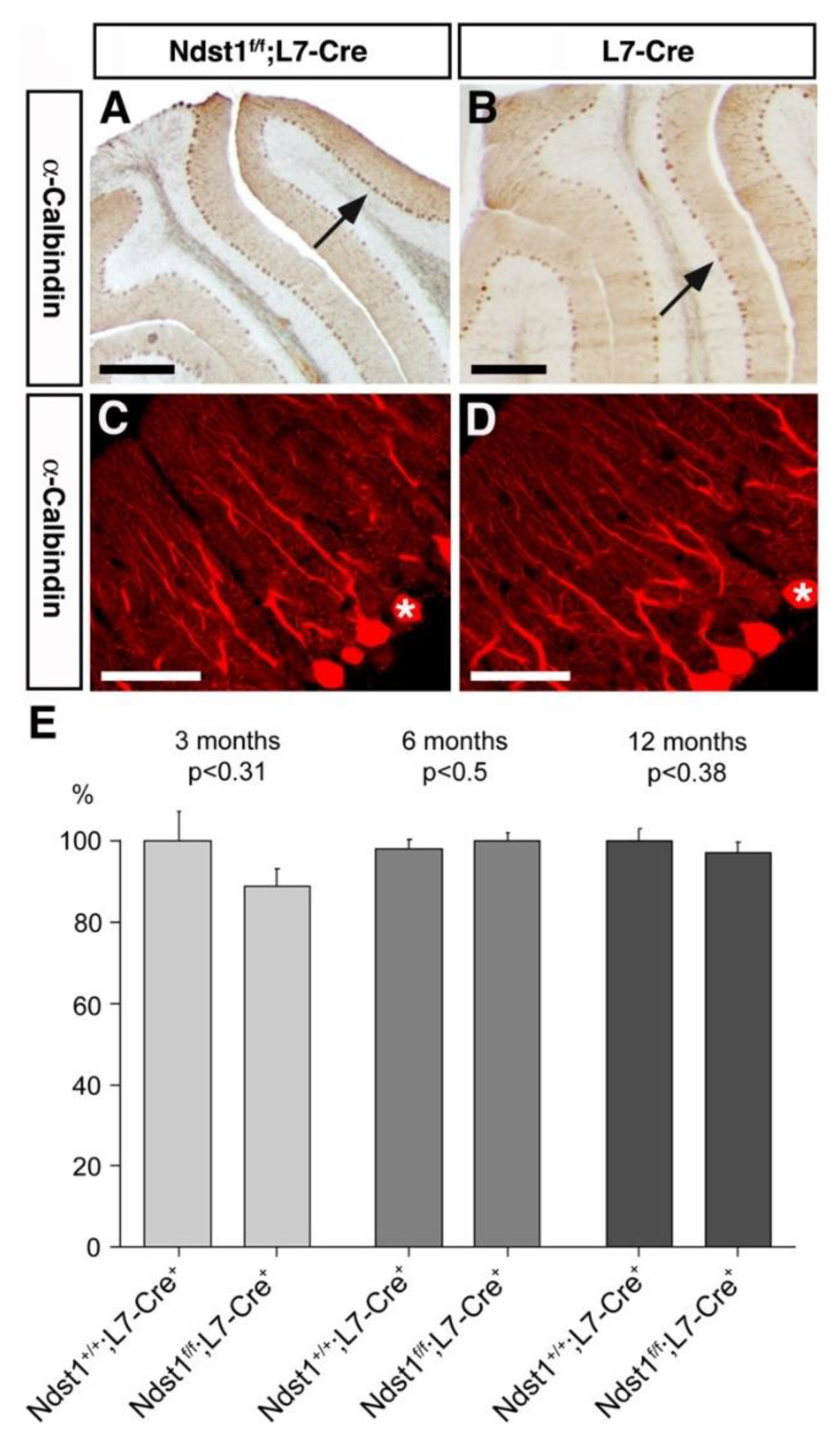 Jdb 08 00013 g003 Jdb 08 00013 g003