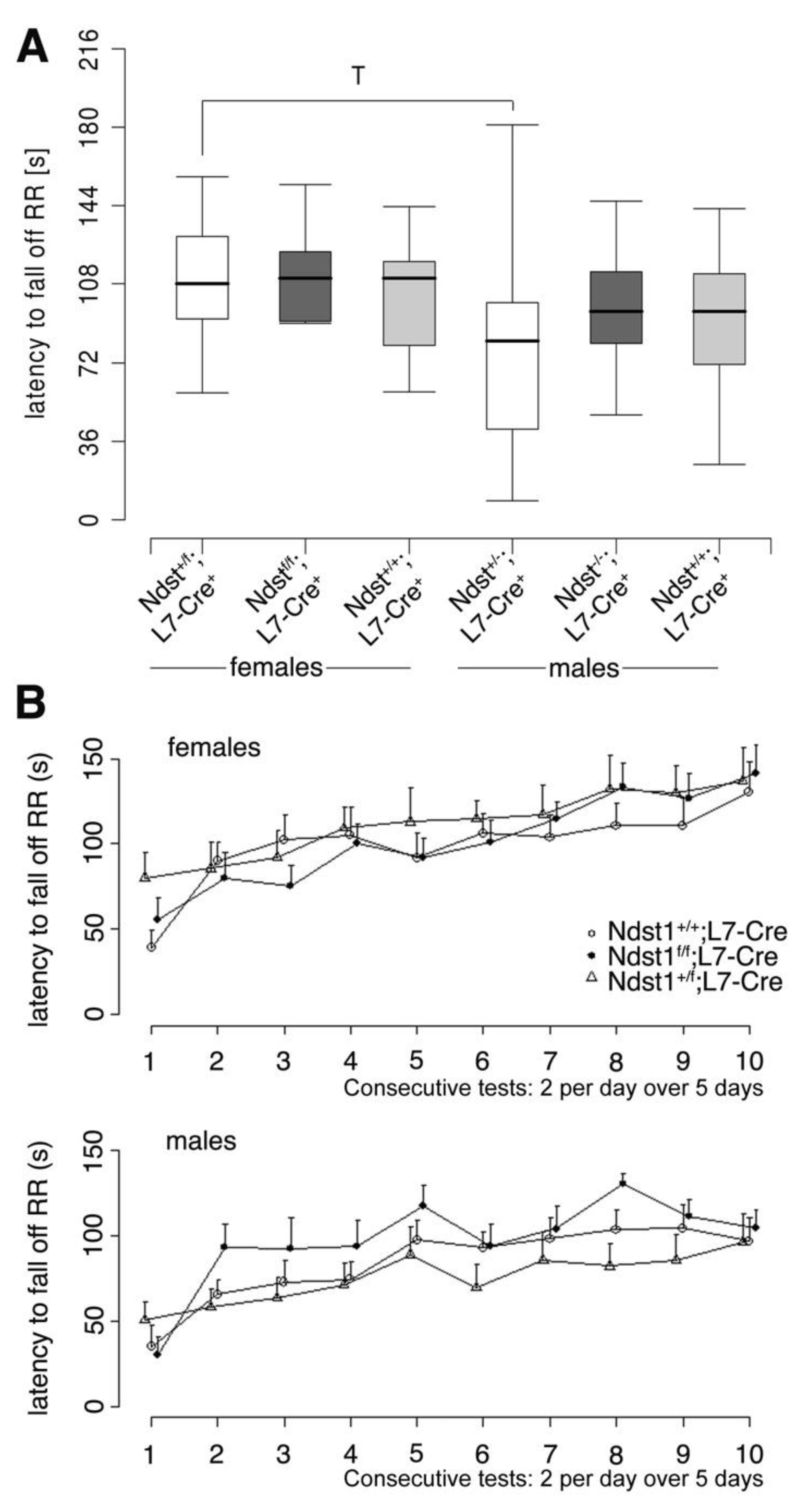 Jdb 08 00013 g004 Jdb 08 00013 g004