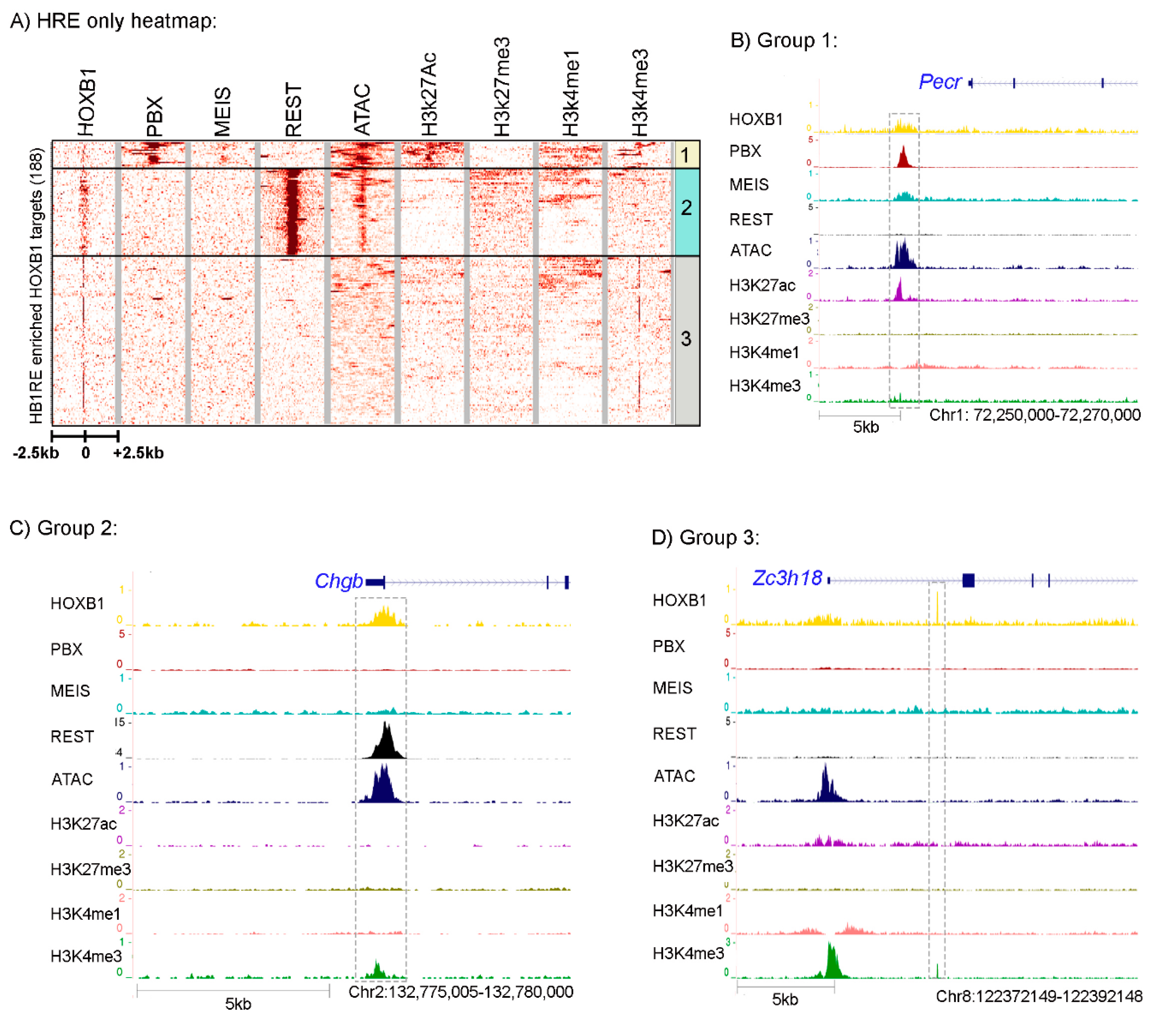 Jdb 09 00006 g004 Jdb 09 00006 g004