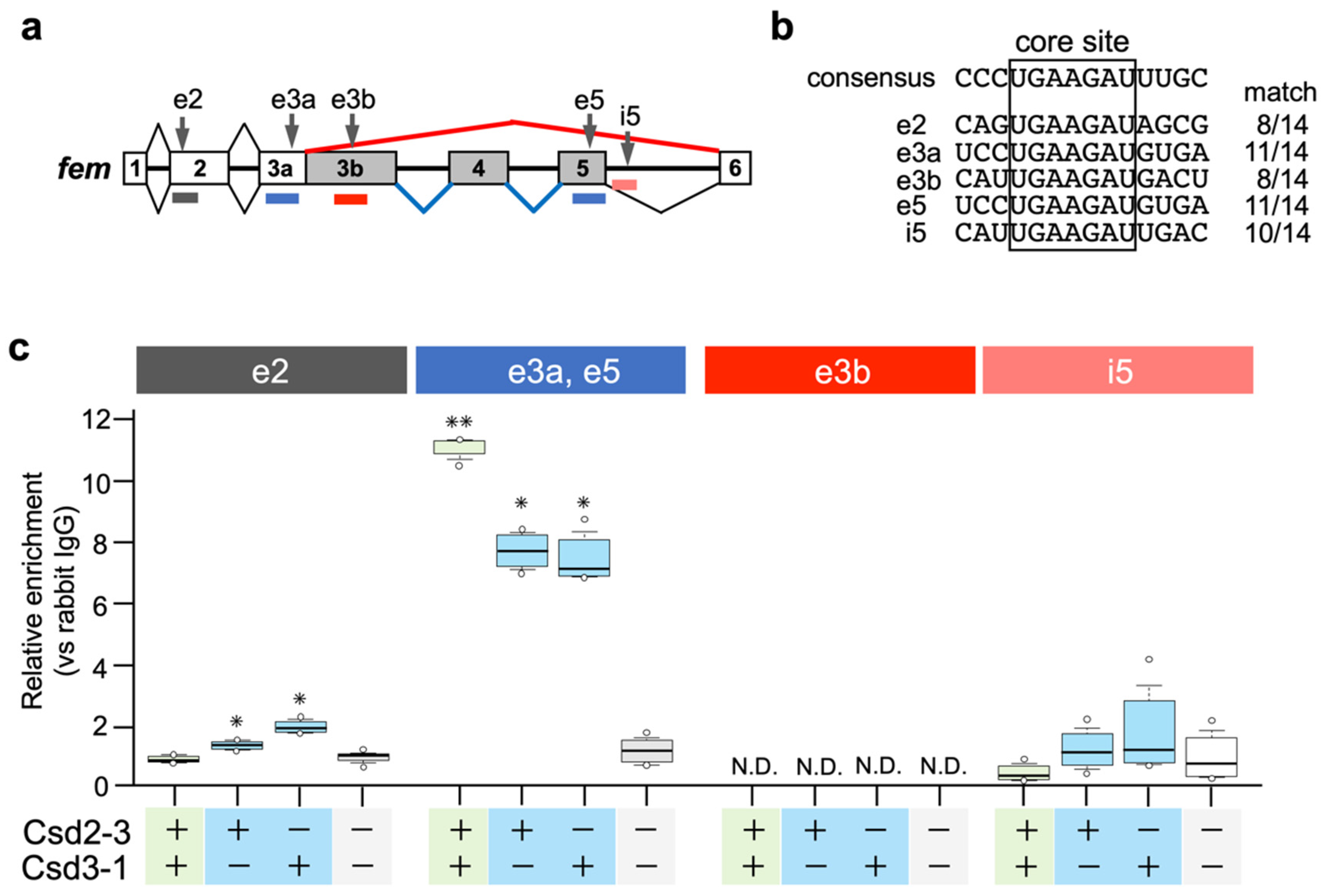 Jdb 11 00010 g004 Jdb 11 00010 g004