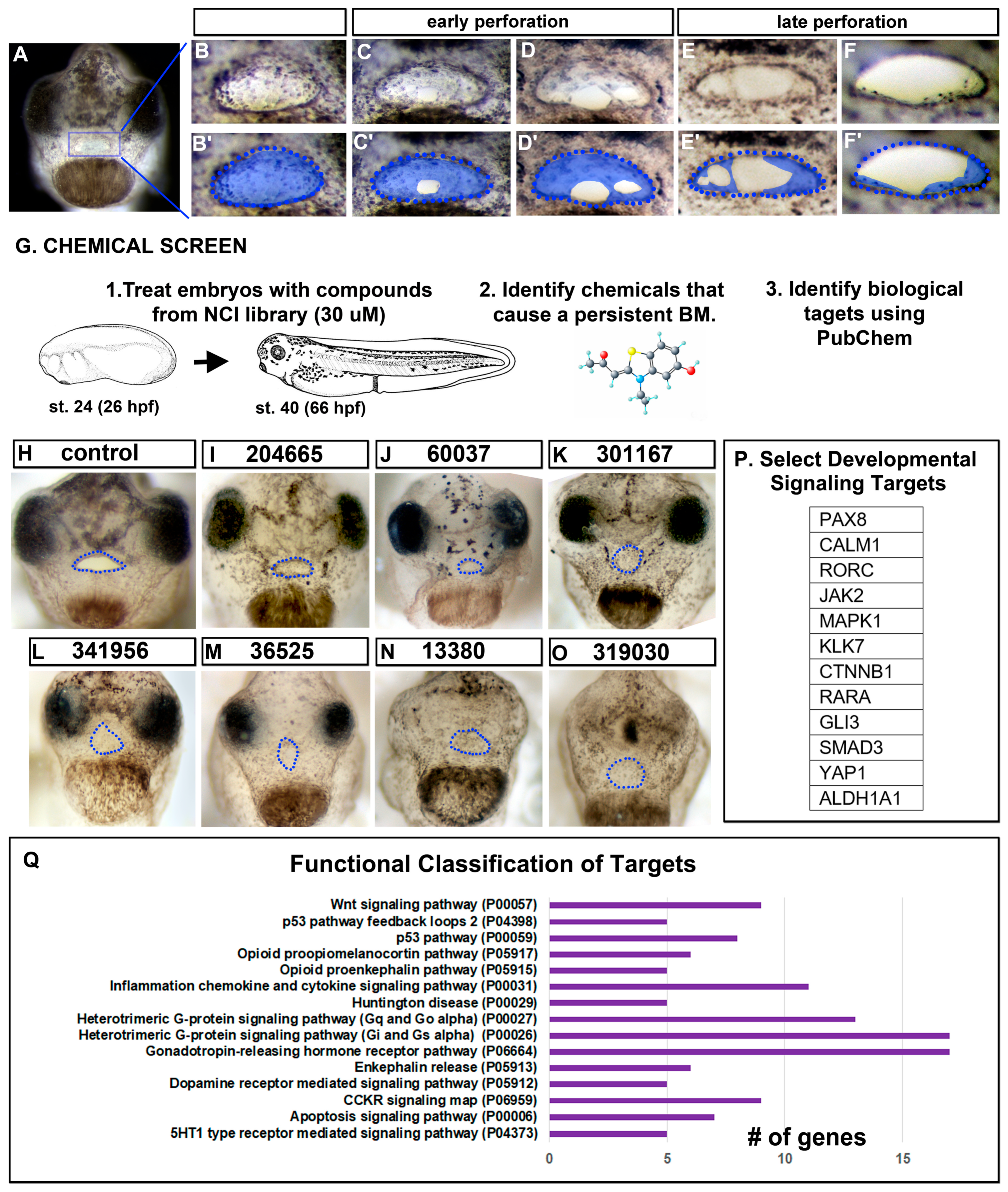Jdb 11 00024 g001 Jdb 11 00024 g001