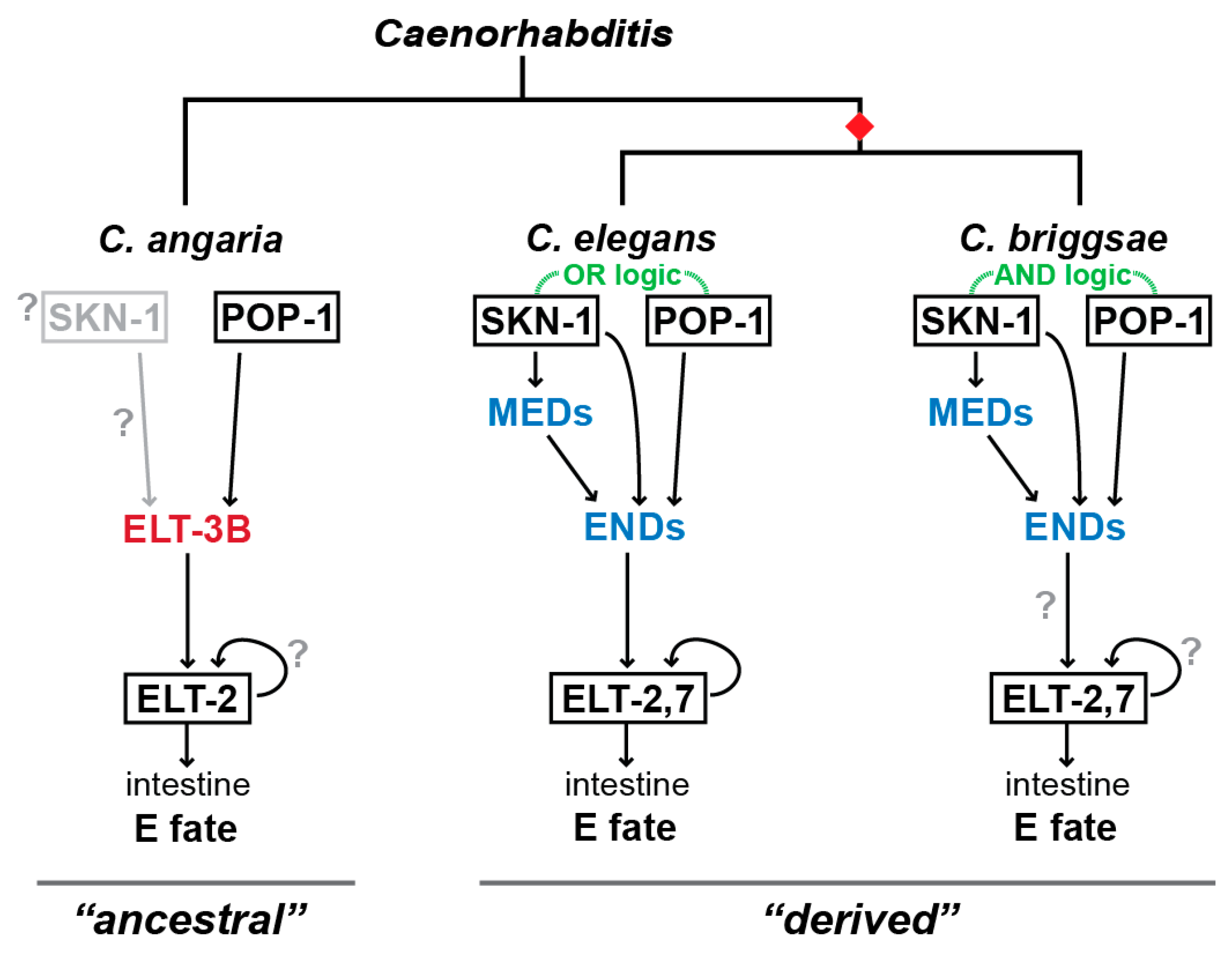 Jdb 11 00032 g004 Jdb 11 00032 g004