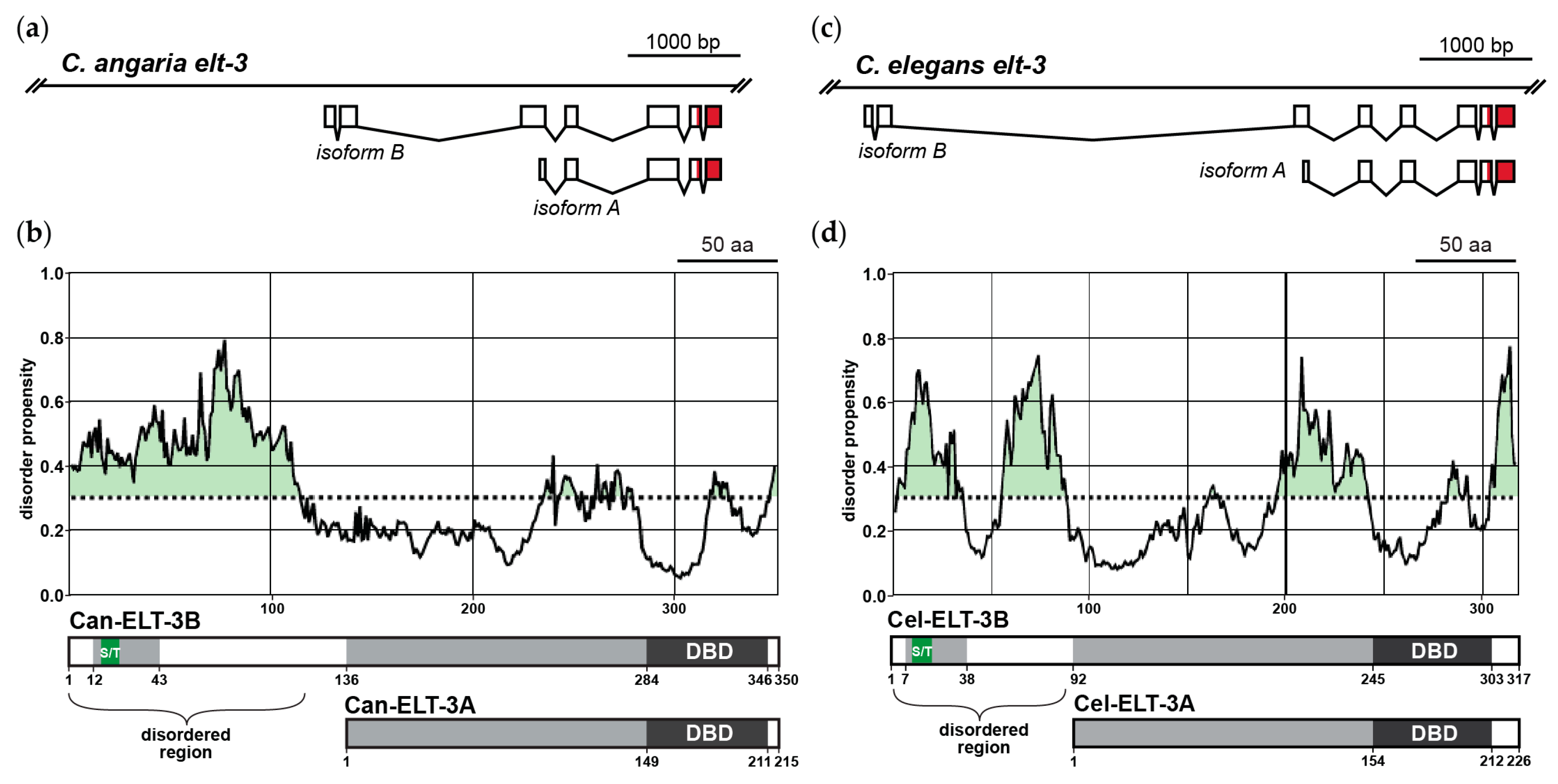 Jdb 11 00032 g005 Jdb 11 00032 g005
