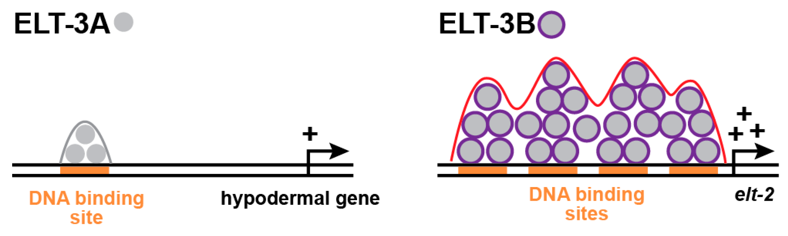 Jdb 11 00032 g006 Jdb 11 00032 g006