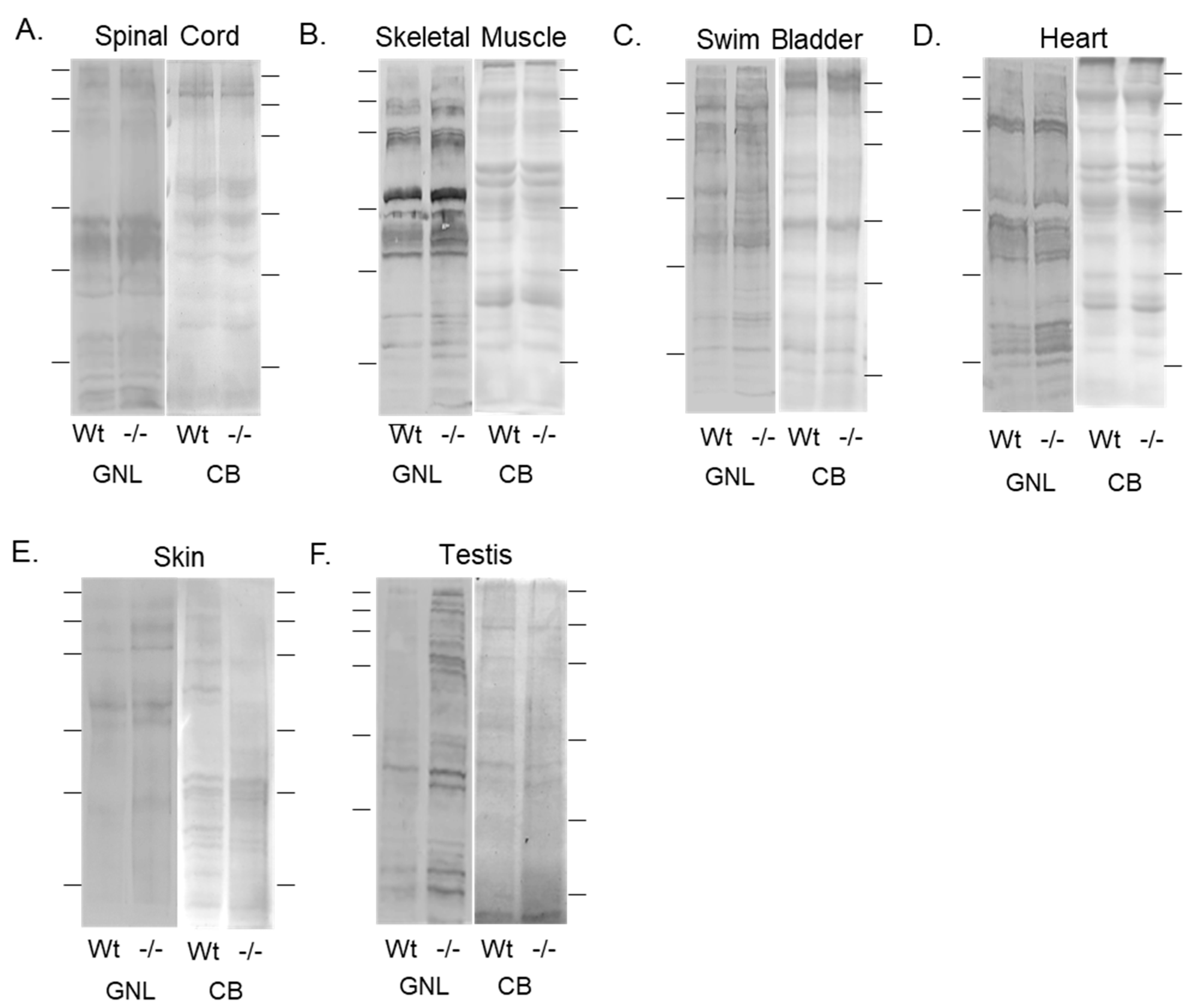 Jdb 12 00021 g003 Jdb 12 00021 g003