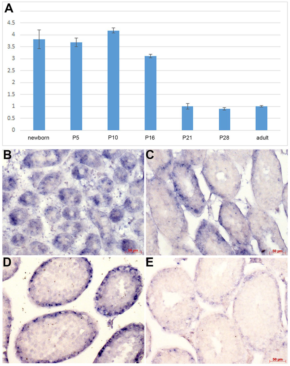 Jdb 12 00032 g001 Jdb 12 00032 g001
