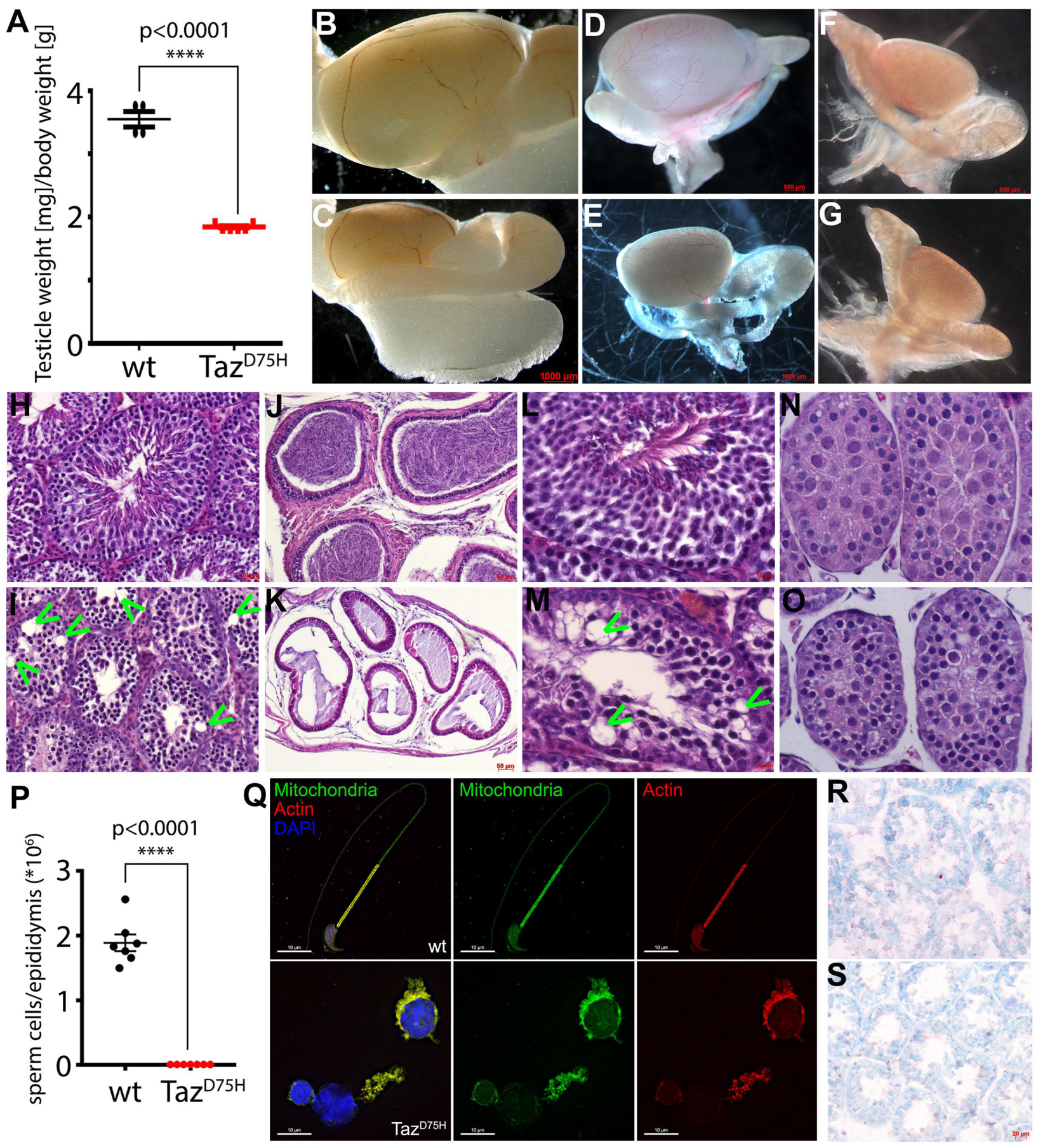 Jdb 12 00032 g002 Jdb 12 00032 g002
