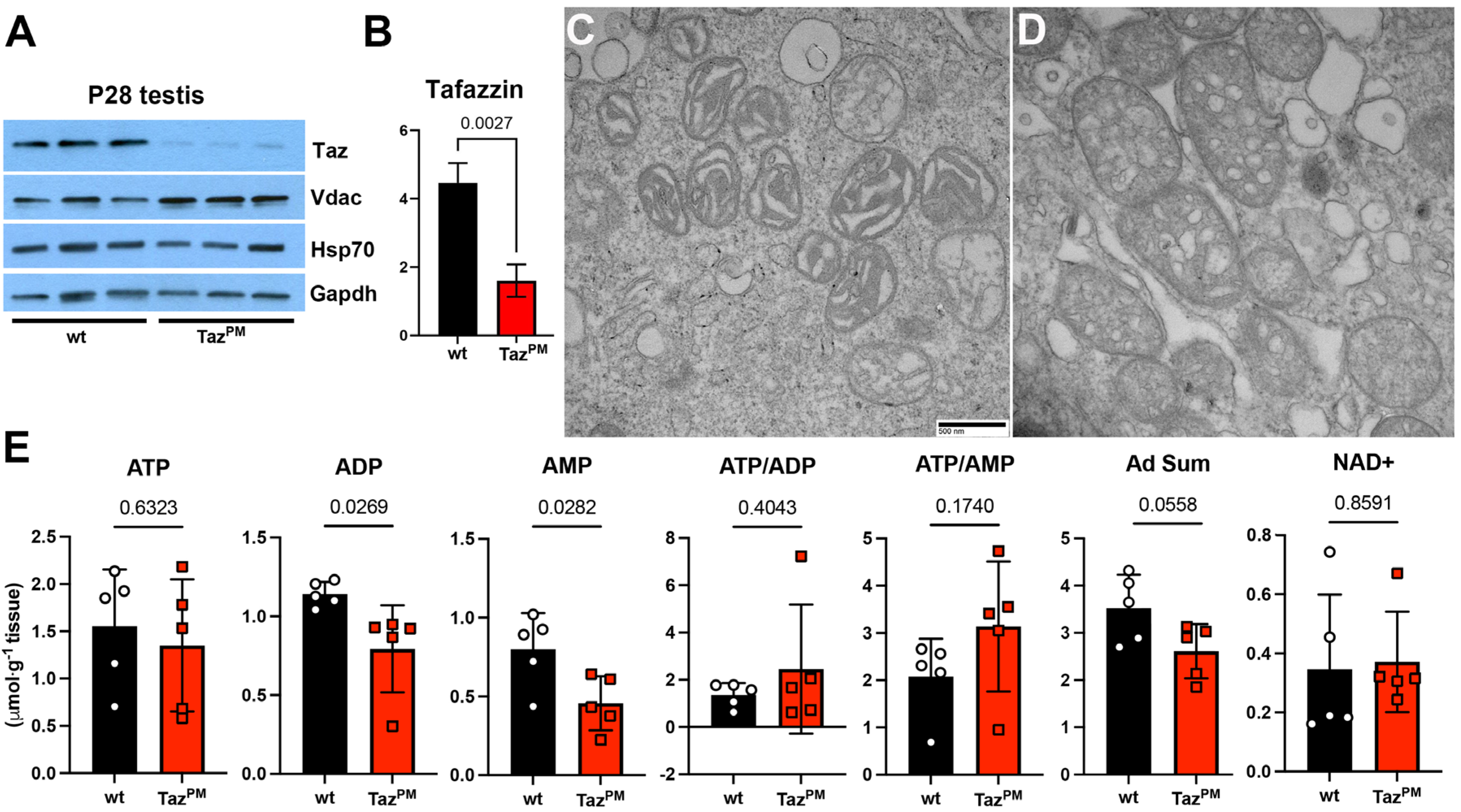 Jdb 12 00032 g004 Jdb 12 00032 g004