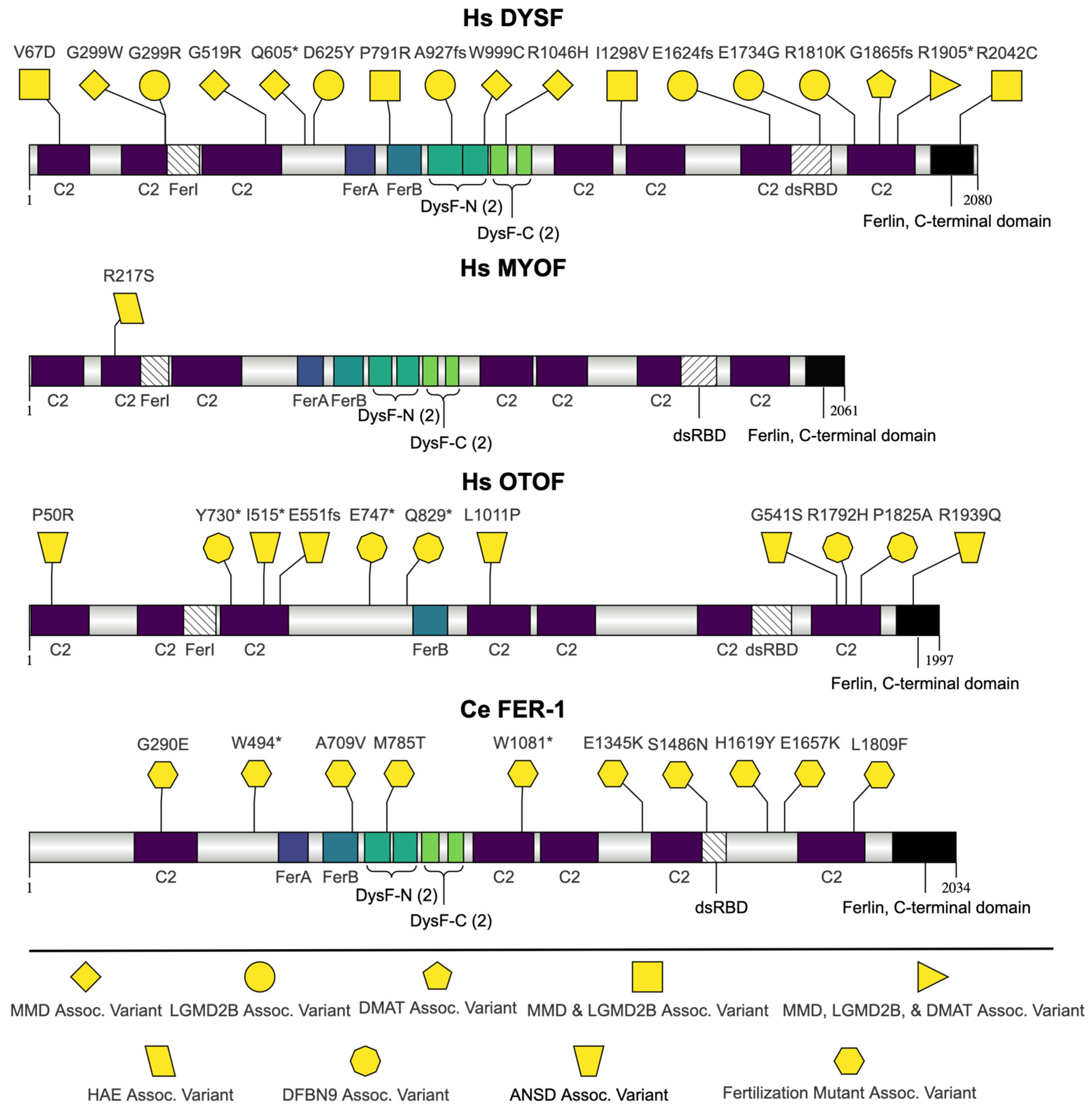 Jdb 13 00004 g002 Jdb 13 00004 g002