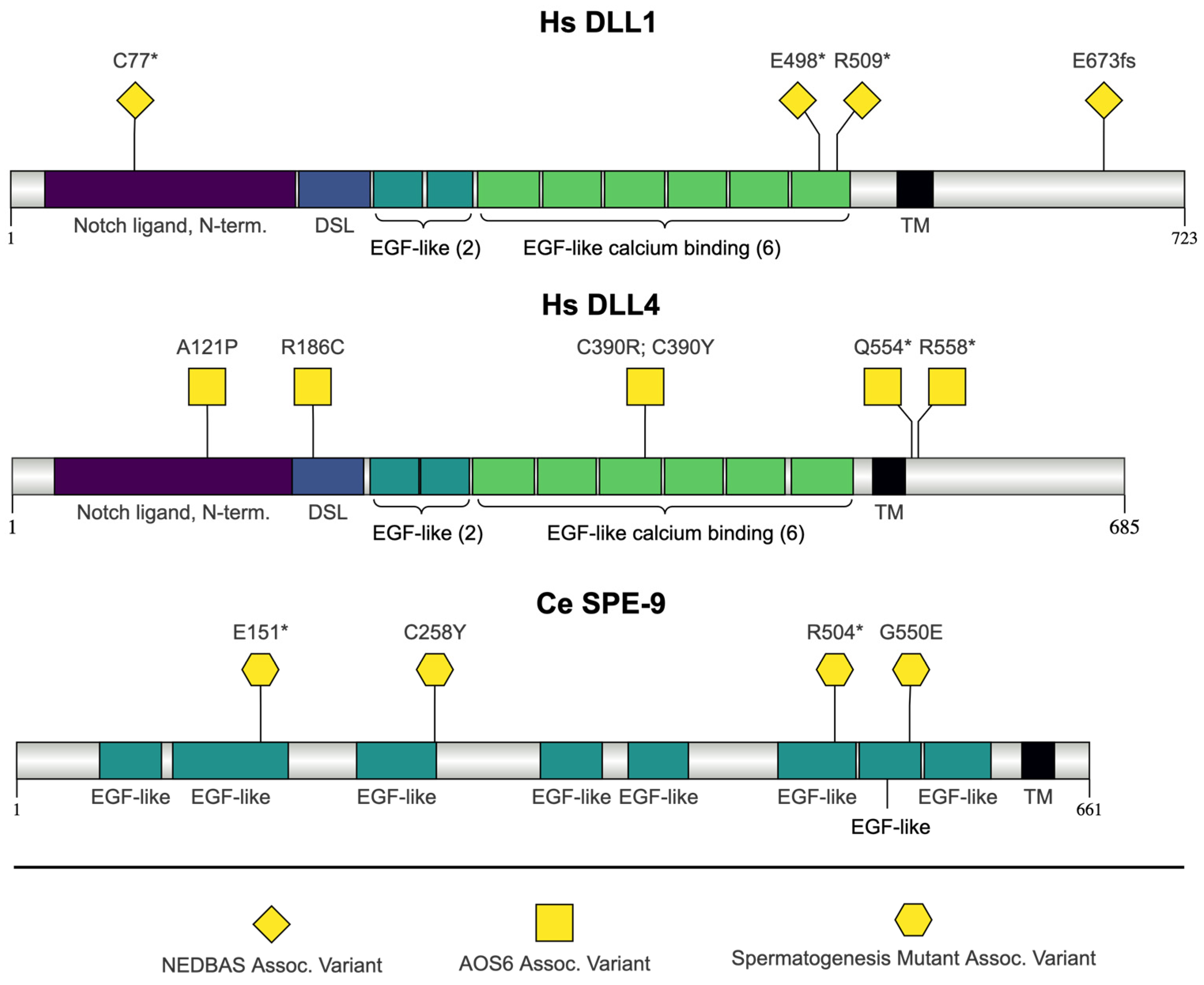 Jdb 13 00004 g005 Jdb 13 00004 g005