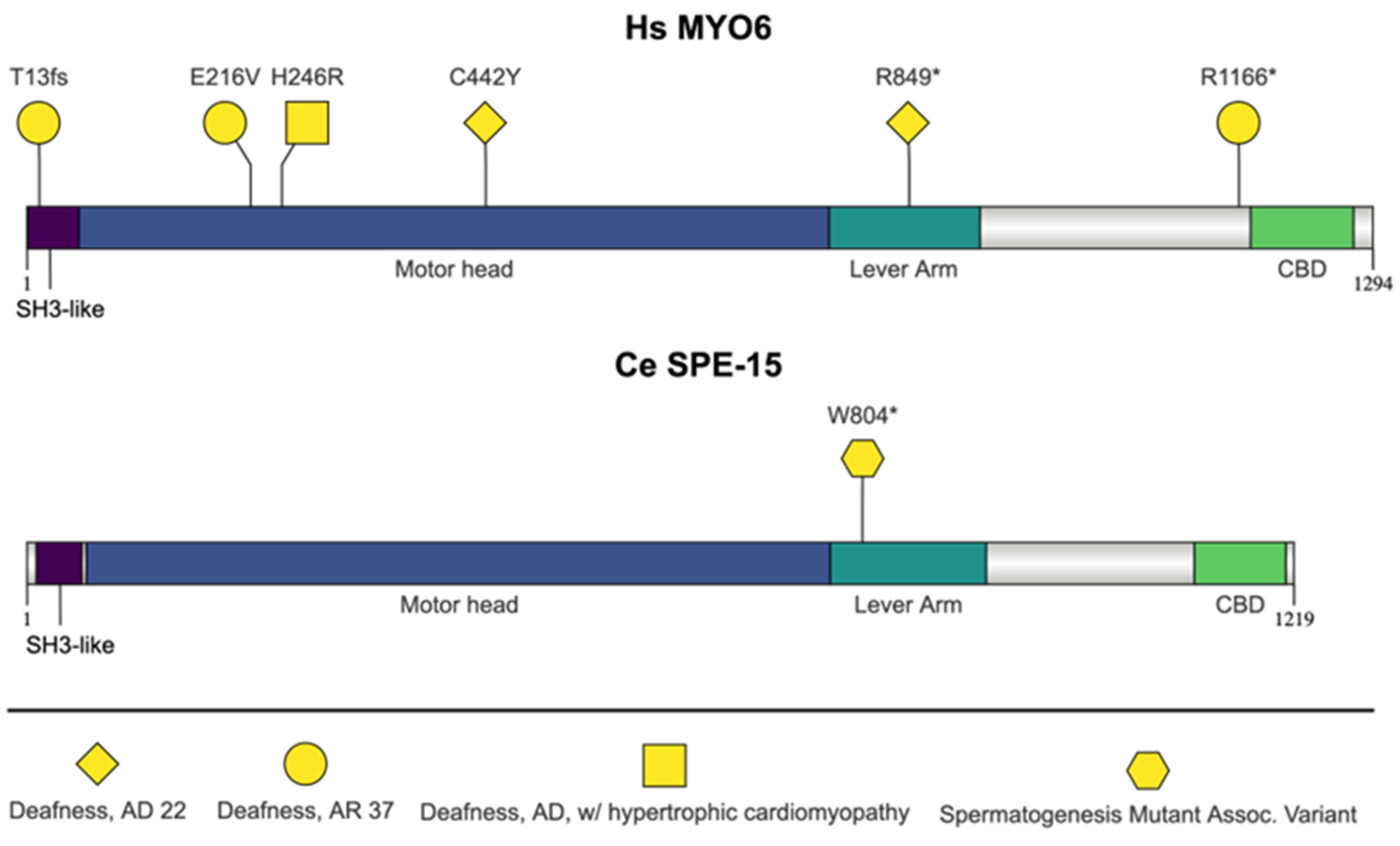 Jdb 13 00004 g006 Jdb 13 00004 g006