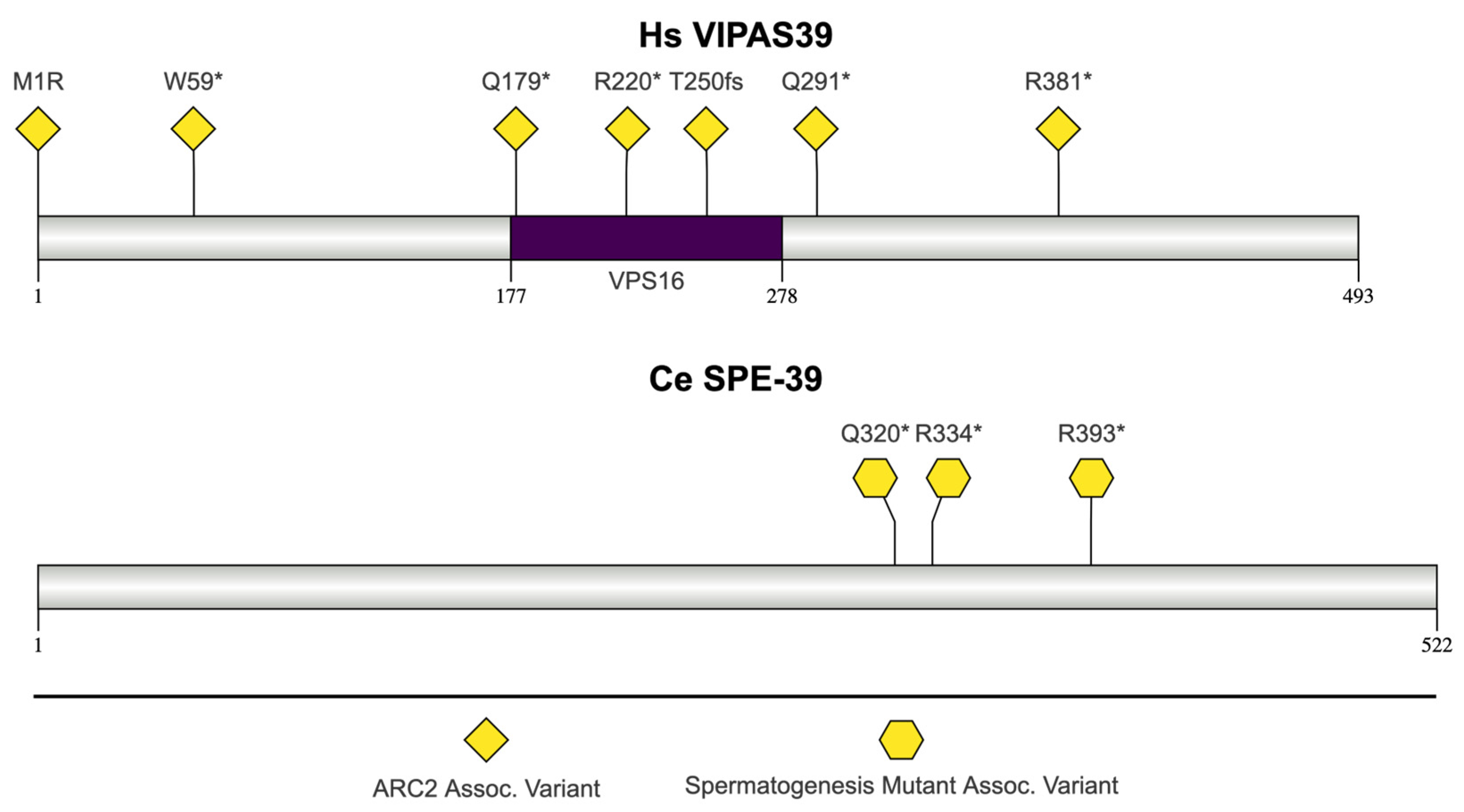 Jdb 13 00004 g008 Jdb 13 00004 g008