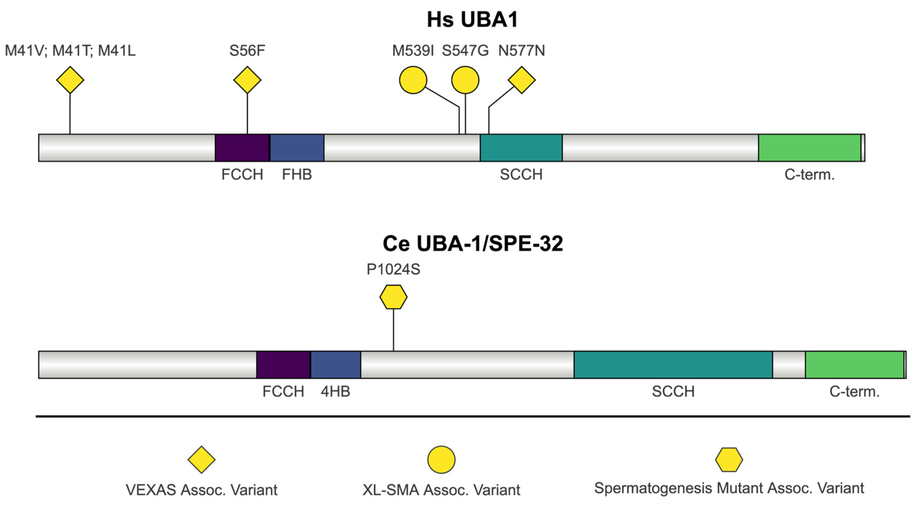 Jdb 13 00004 g009 Jdb 13 00004 g009