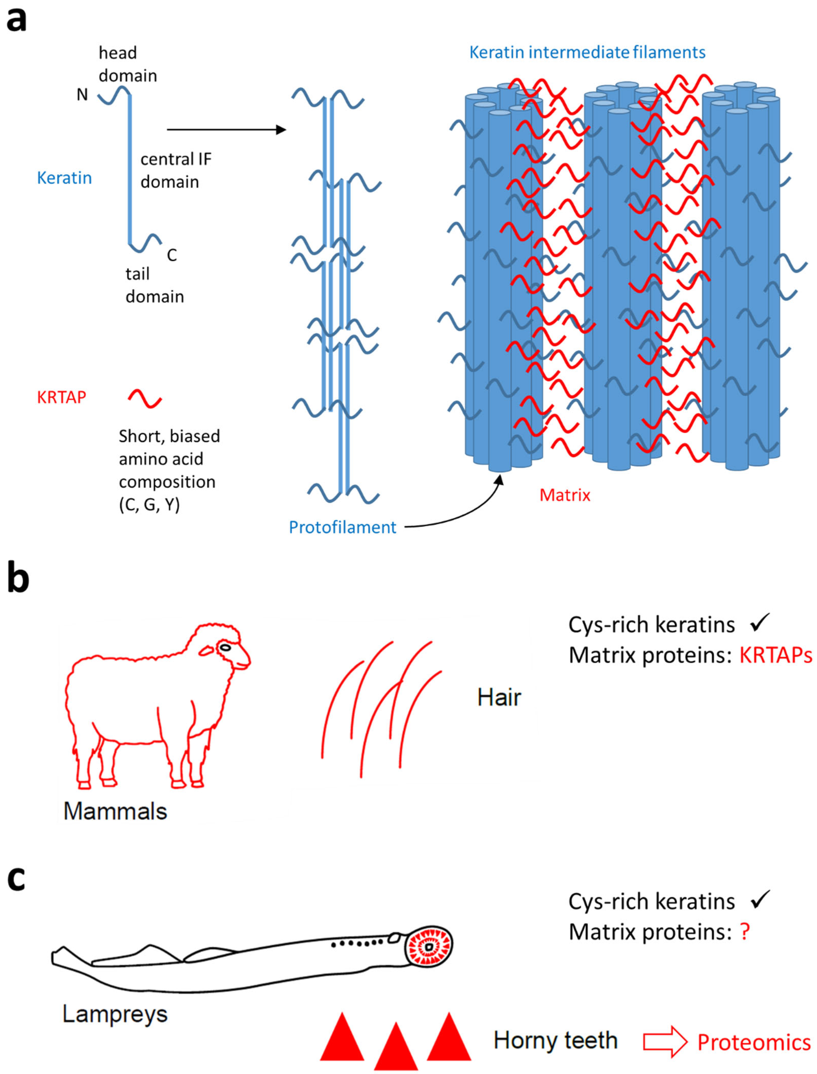 Jdb 13 00018 g001 Jdb 13 00018 g001