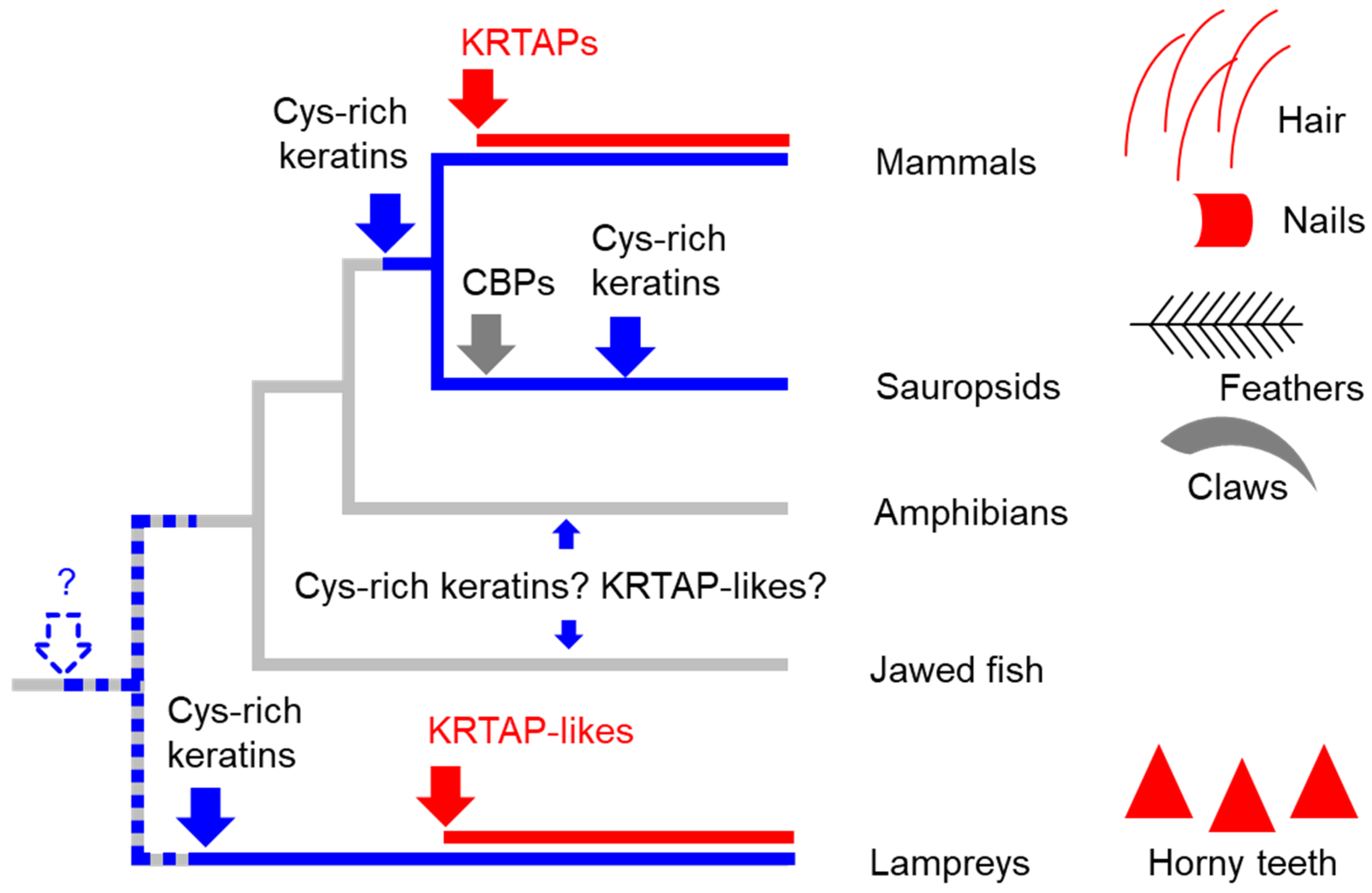 Jdb 13 00018 g005 Jdb 13 00018 g005