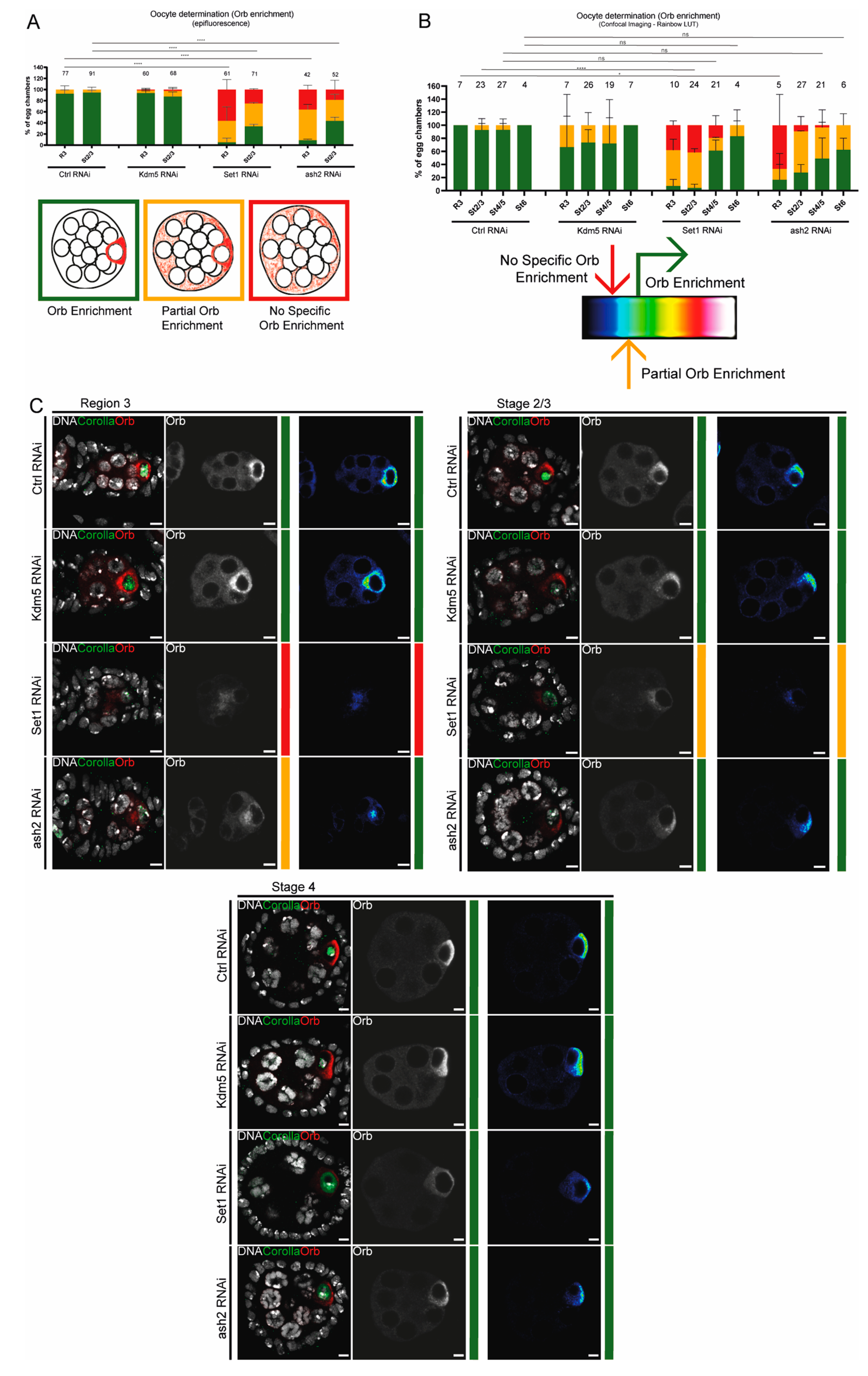 Jdb 13 00030 g001 Jdb 13 00030 g001
