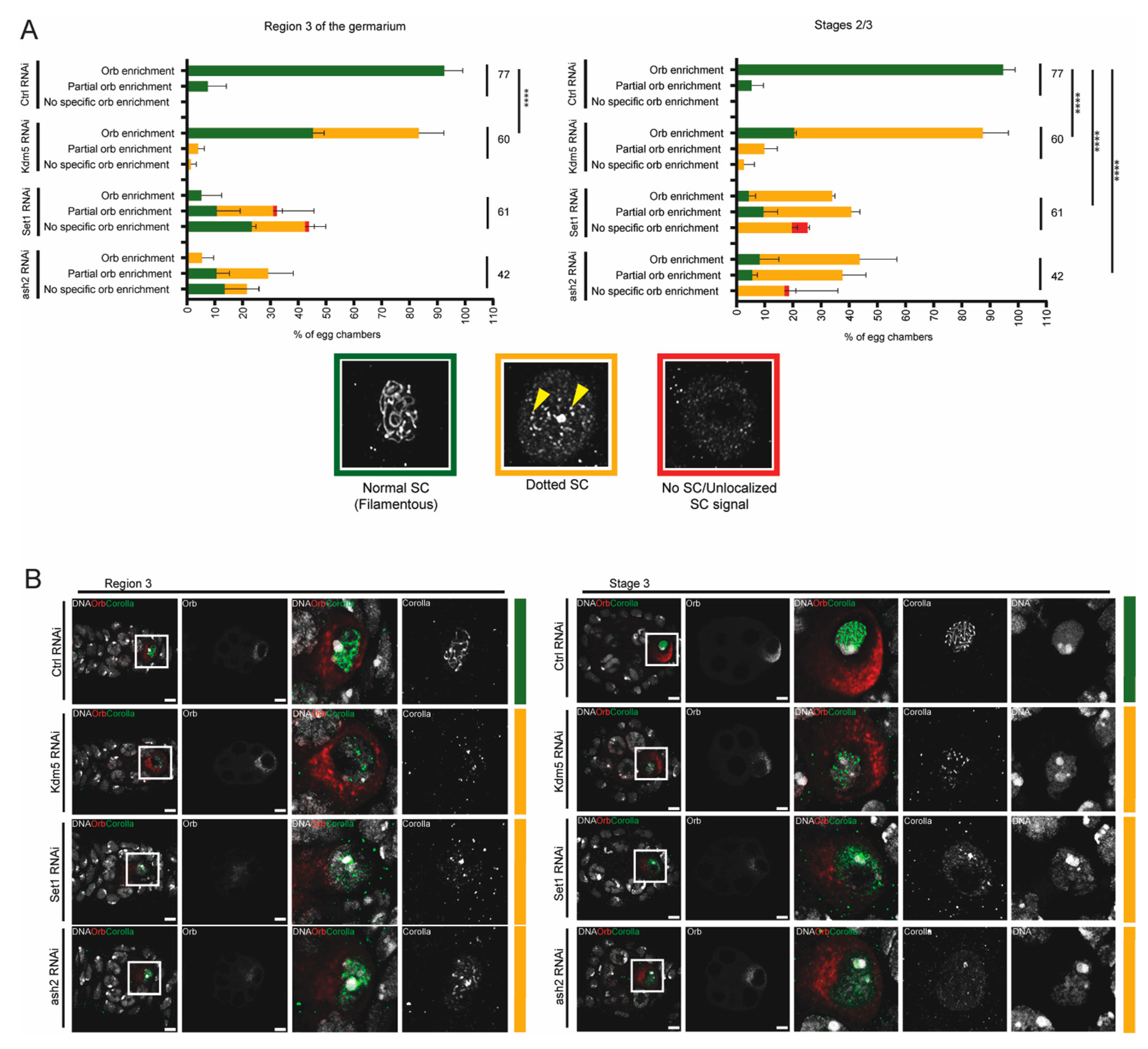Jdb 13 00030 g003 Jdb 13 00030 g003