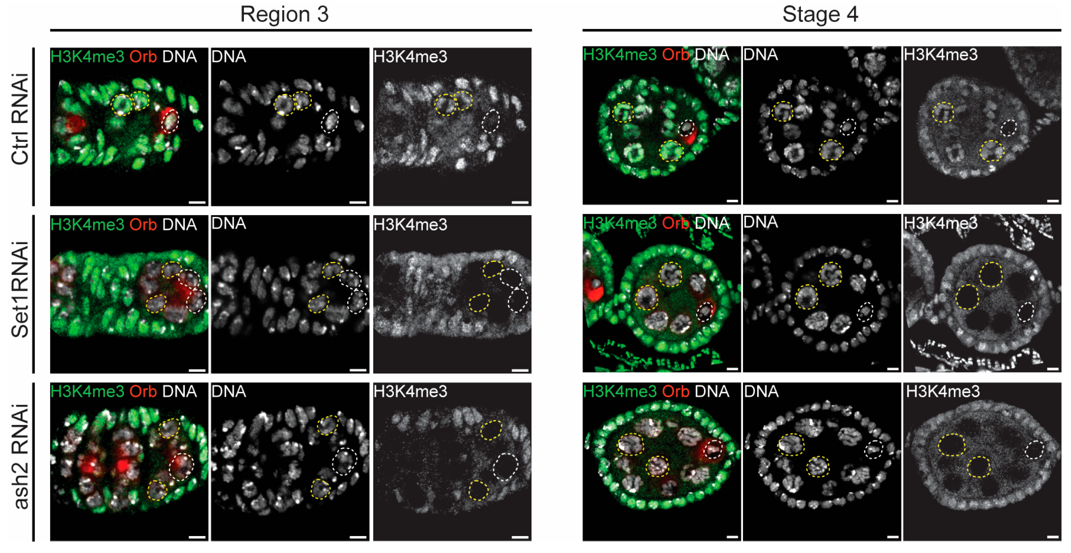 Jdb 13 00030 g004 Jdb 13 00030 g004