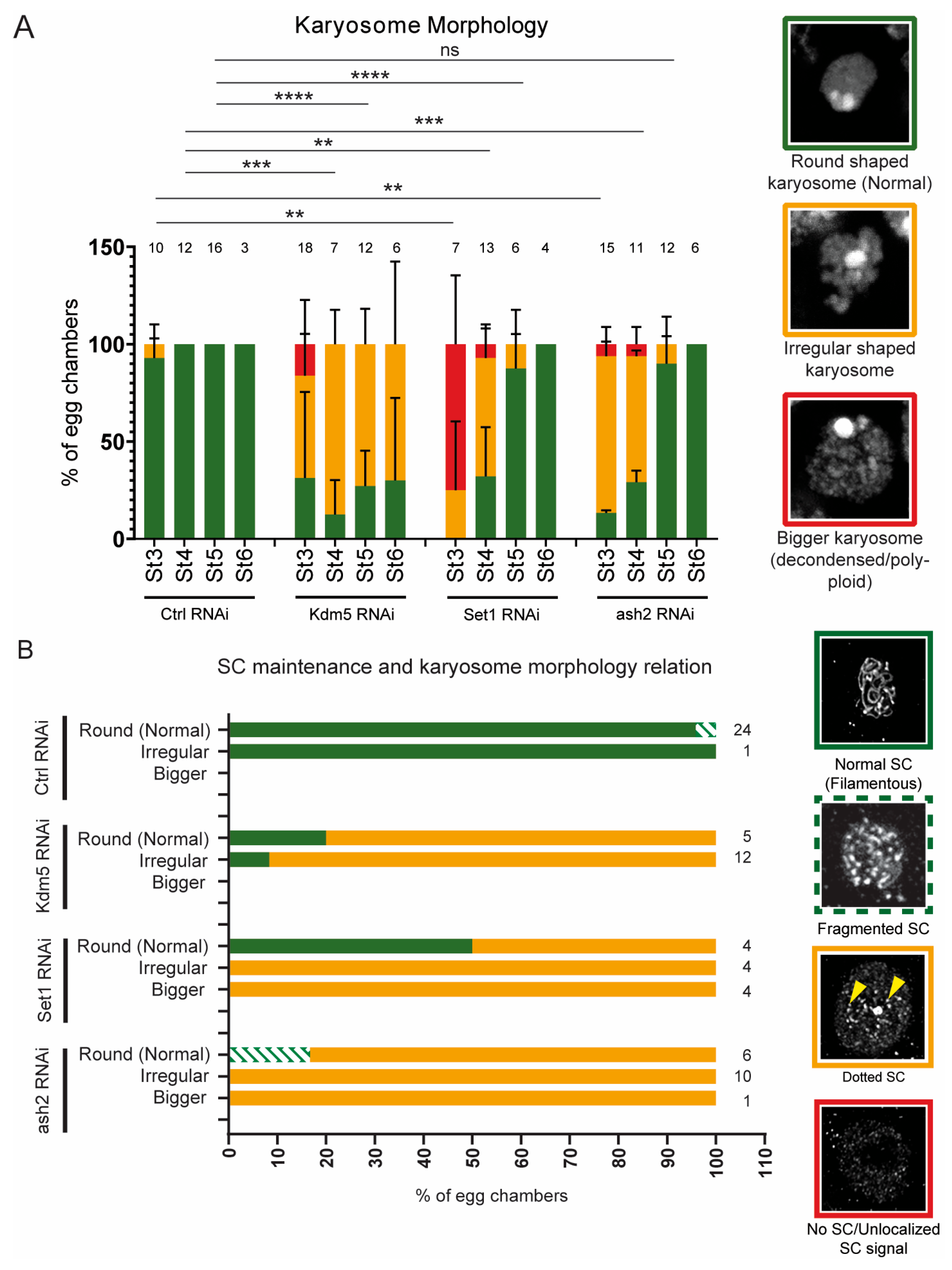 Jdb 13 00030 g005 Jdb 13 00030 g005