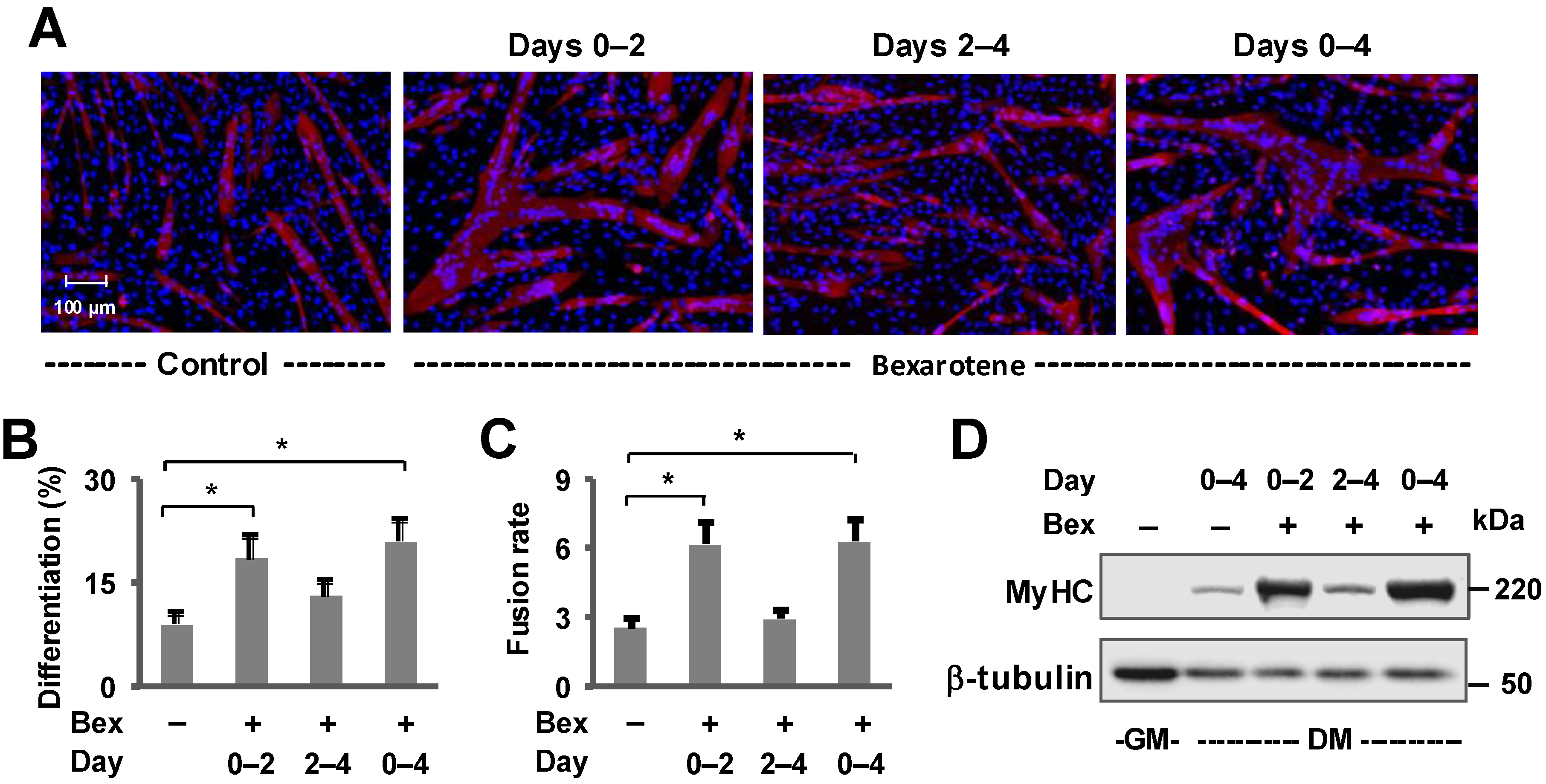 Jdb 13 00034 g001 Jdb 13 00034 g001