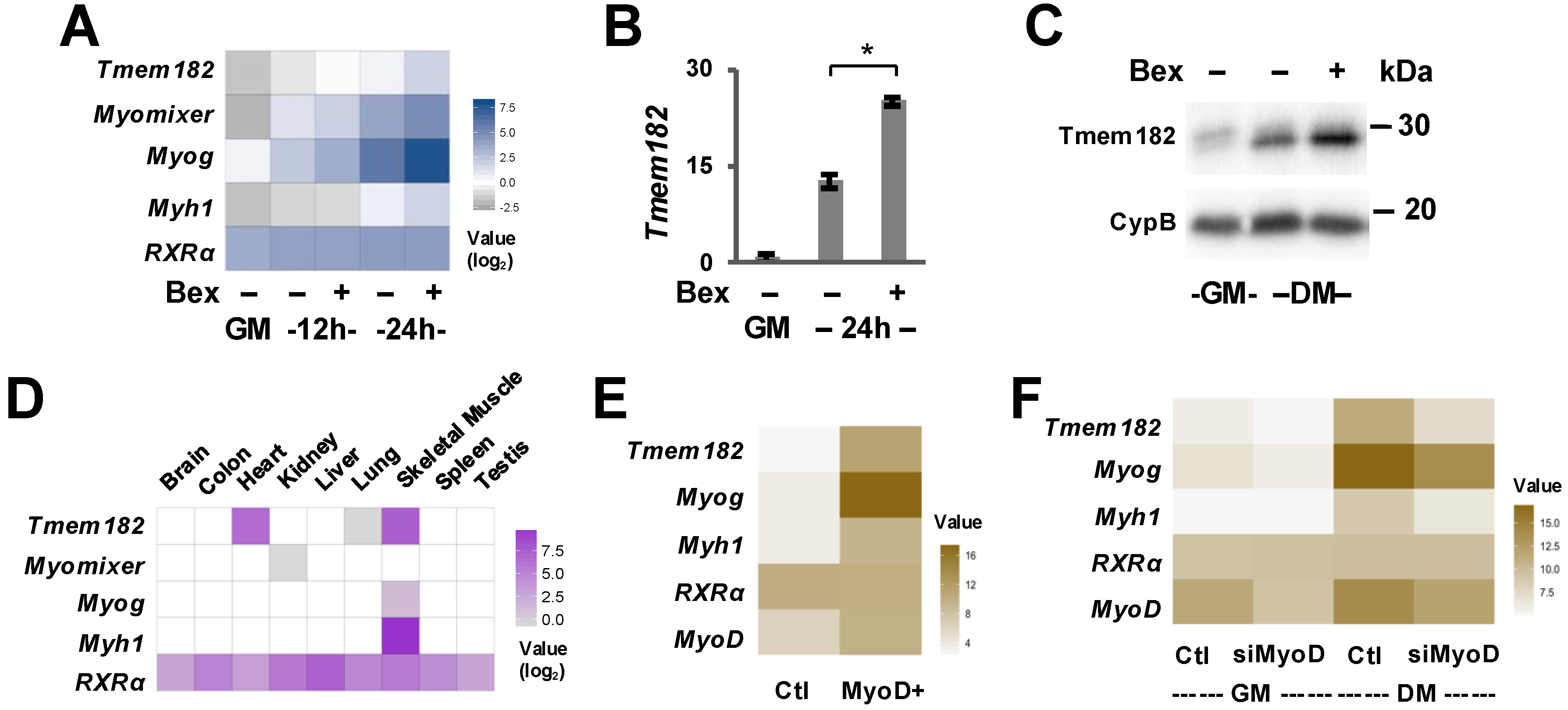 Jdb 13 00034 g002 Jdb 13 00034 g002