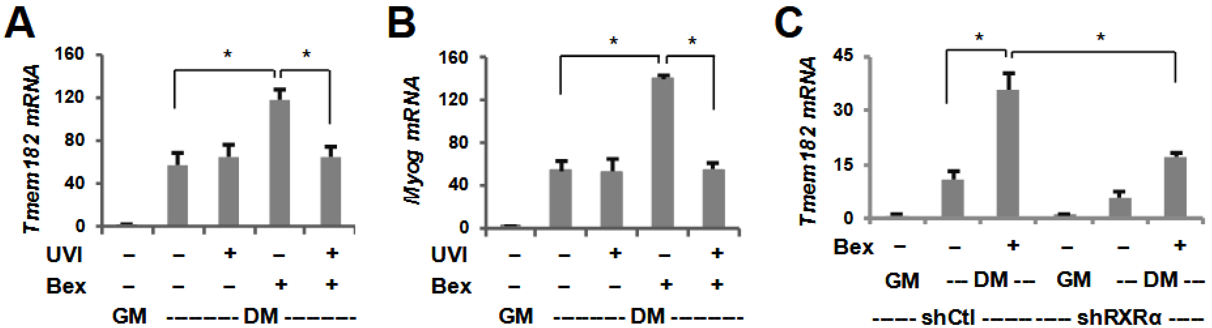 Jdb 13 00034 g003 Jdb 13 00034 g003