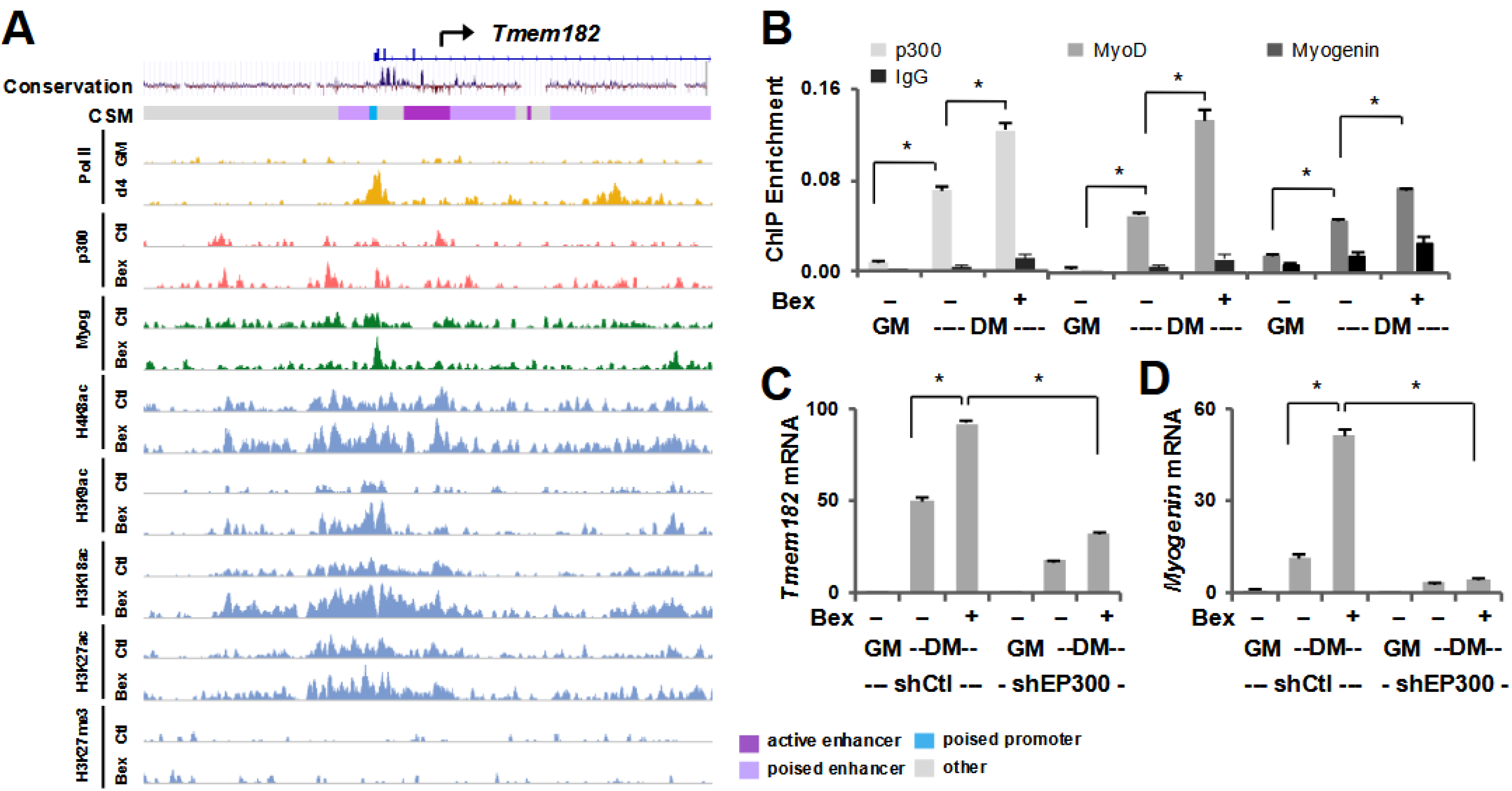 Jdb 13 00034 g004 Jdb 13 00034 g004