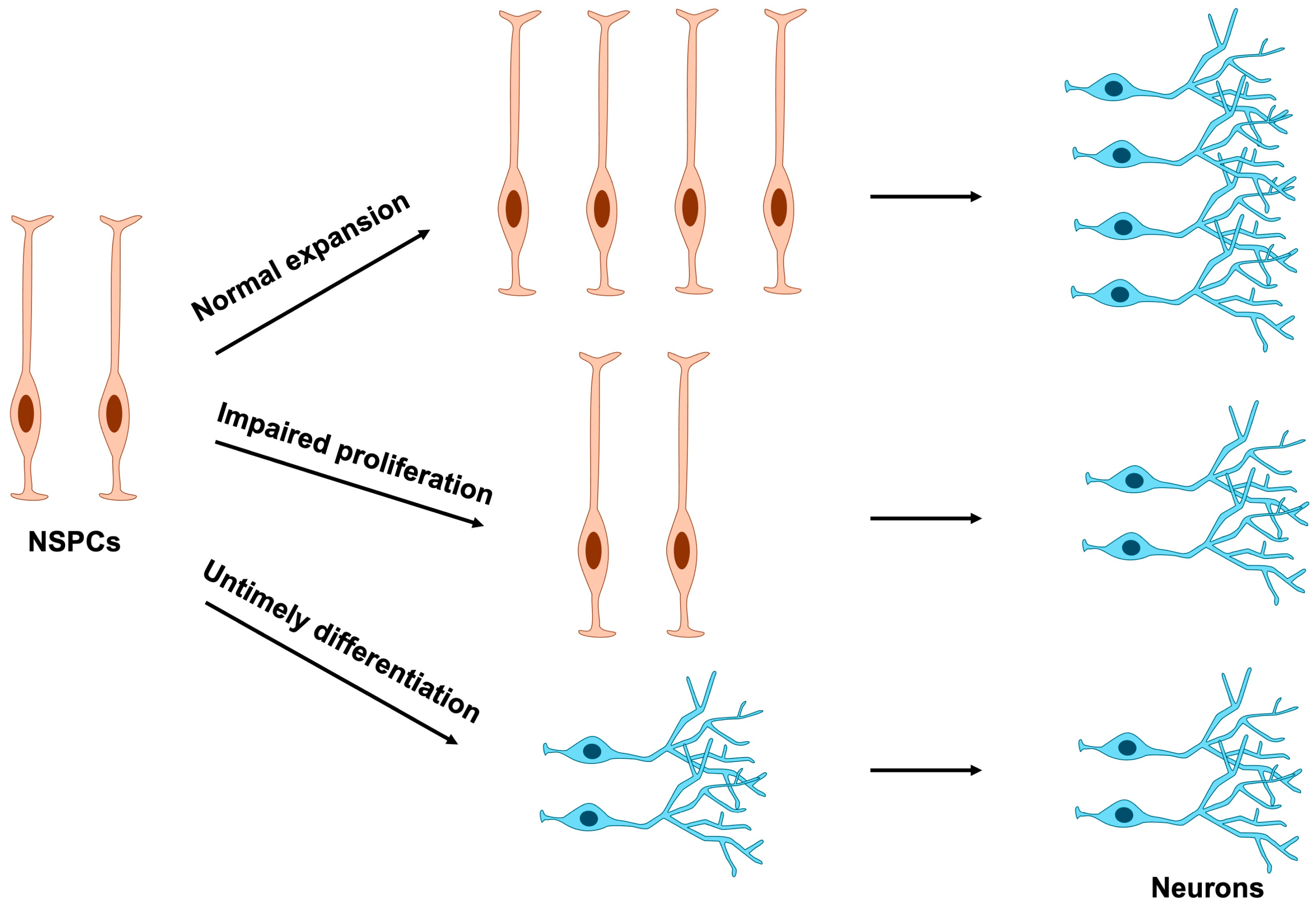 Jdb 13 00040 g004 Jdb 13 00040 g004
