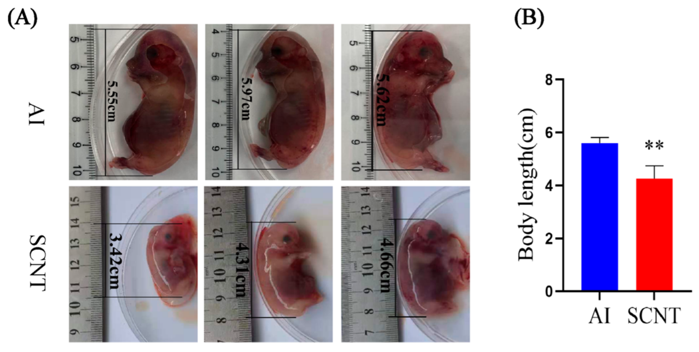 Jdb 13 00041 g001 Jdb 13 00041 g001