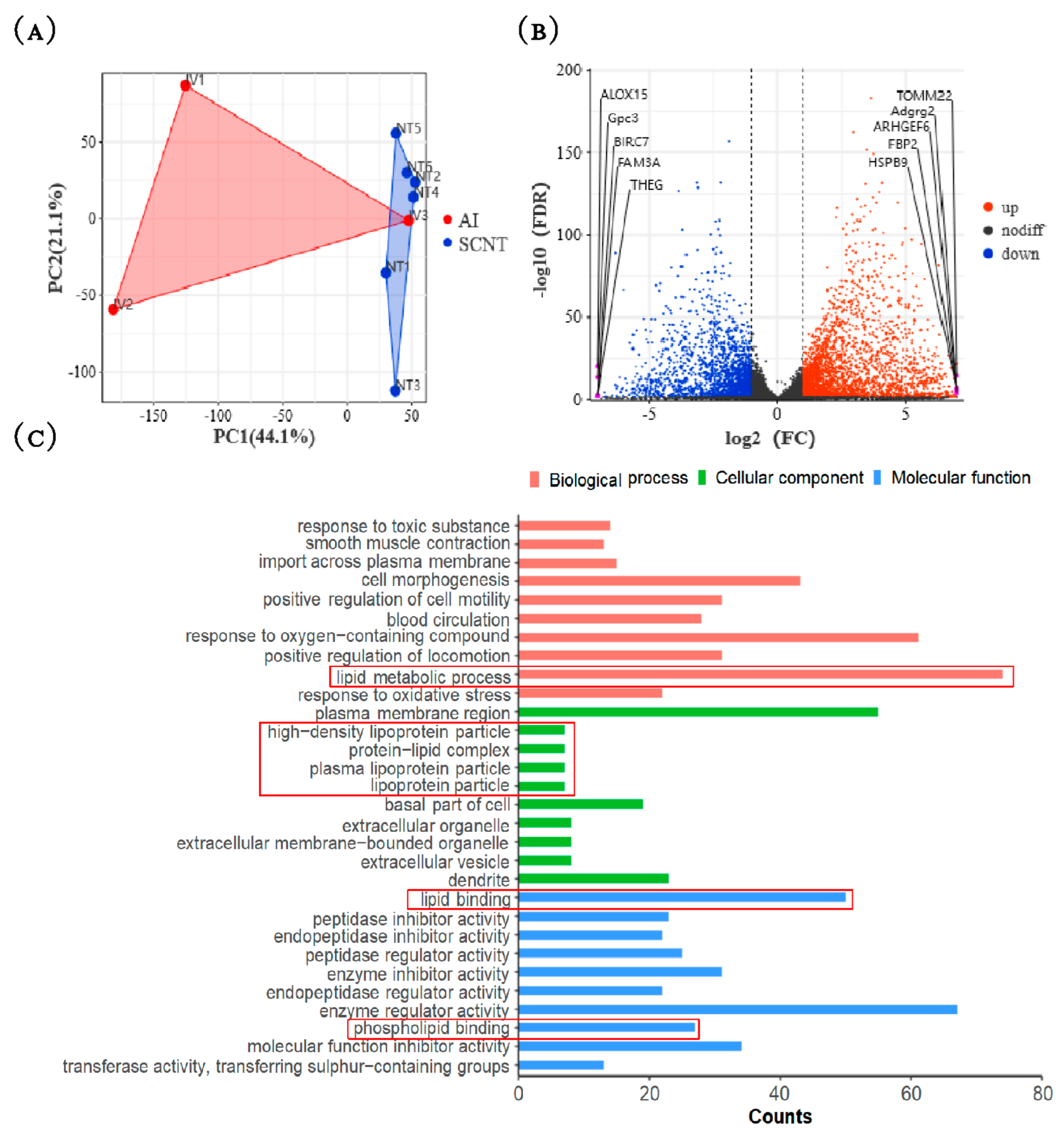 Jdb 13 00041 g002 Jdb 13 00041 g002