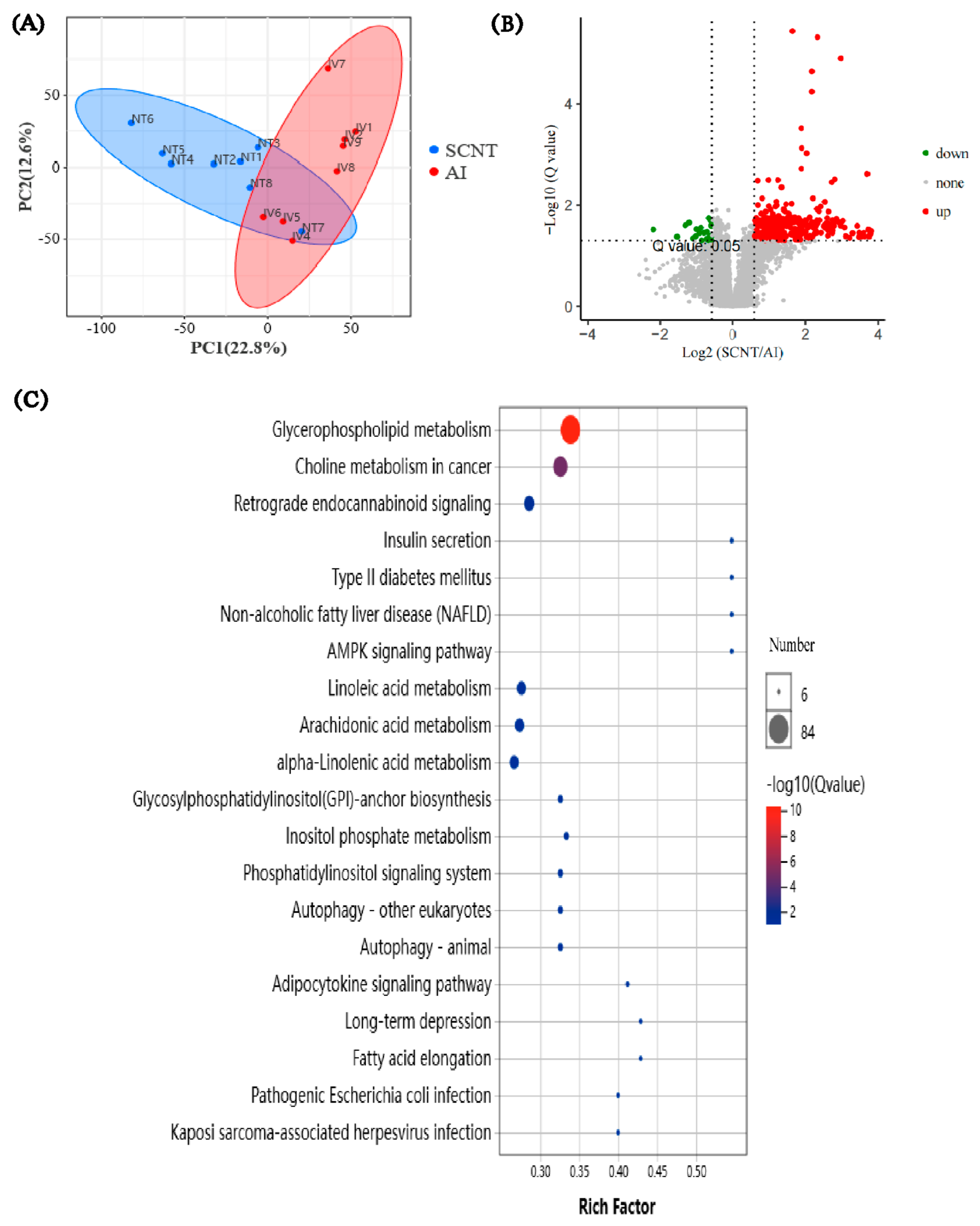 Jdb 13 00041 g004 Jdb 13 00041 g004