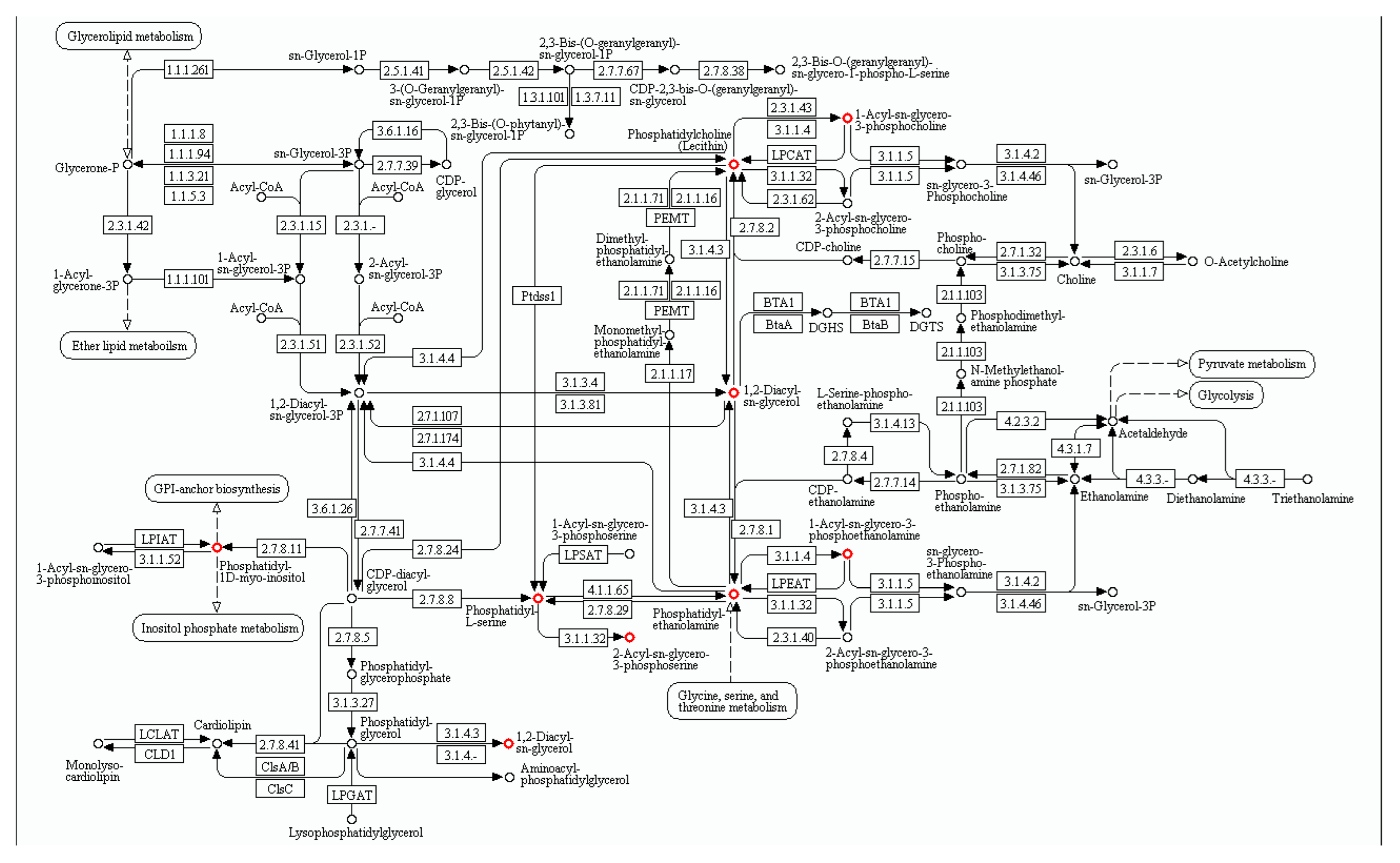 Jdb 13 00041 g005 Jdb 13 00041 g005