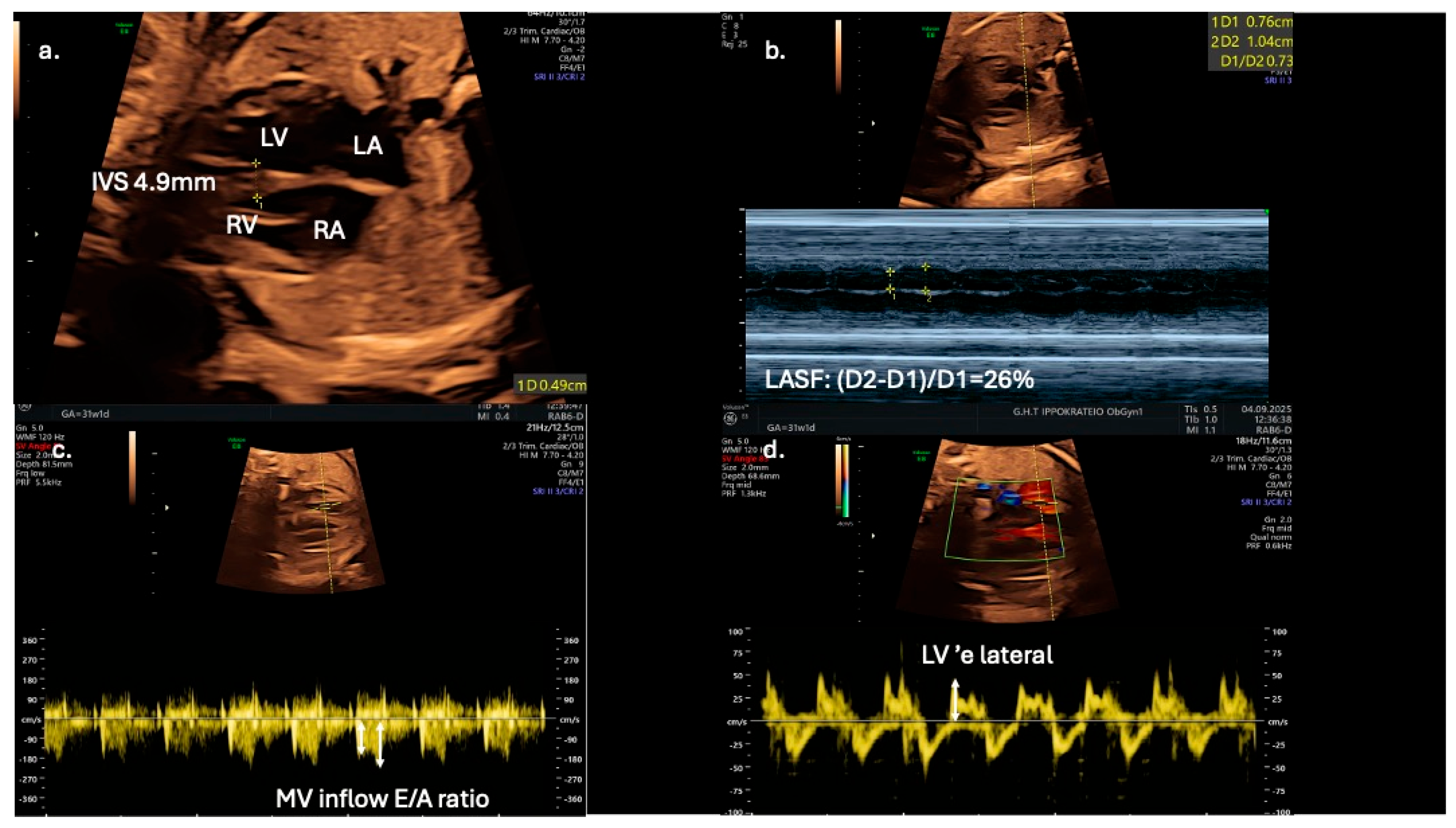Jdb 13 00044 g003 Jdb 13 00044 g003