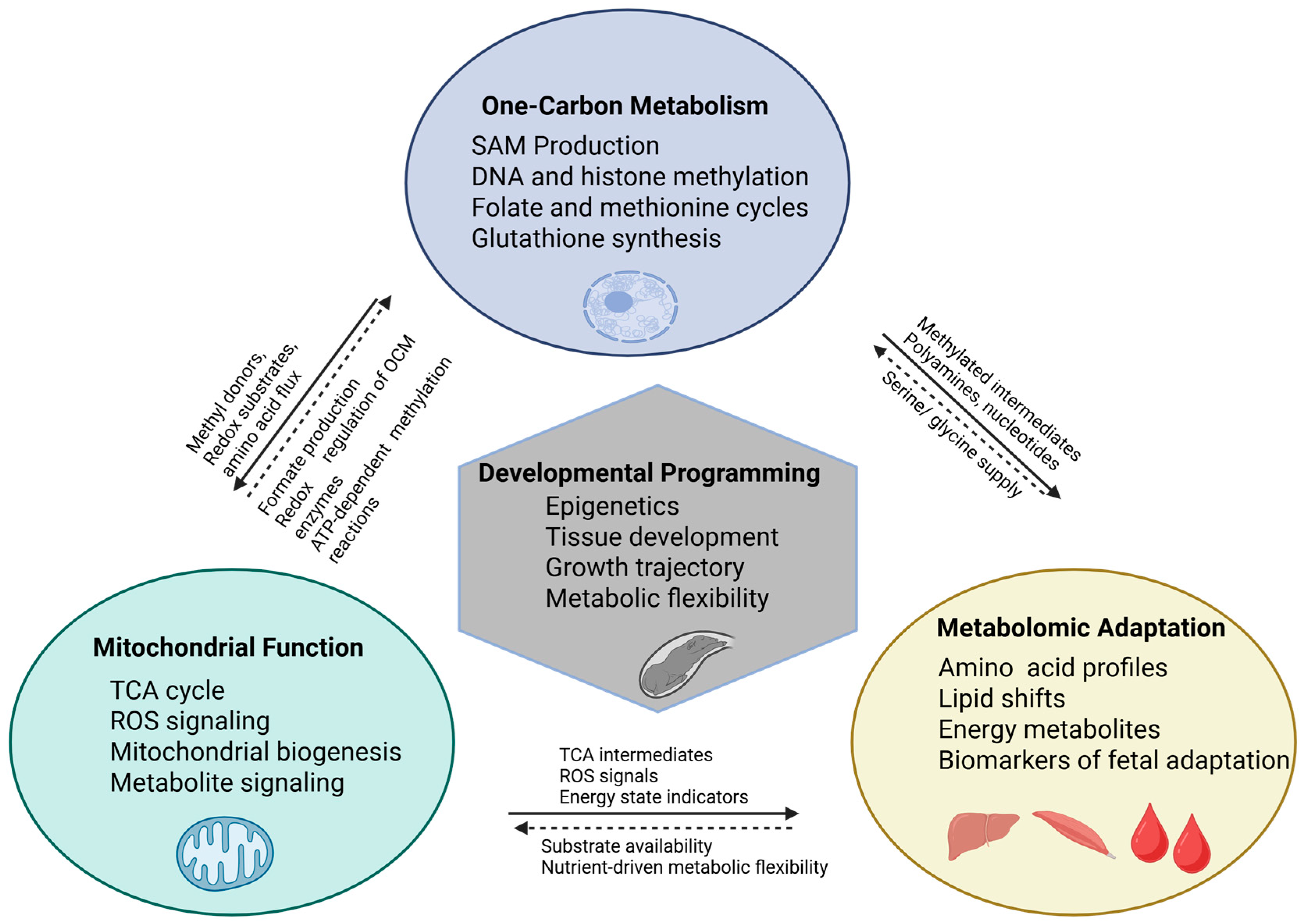 Jdb 14 00003 g003 Jdb 14 00003 g003
