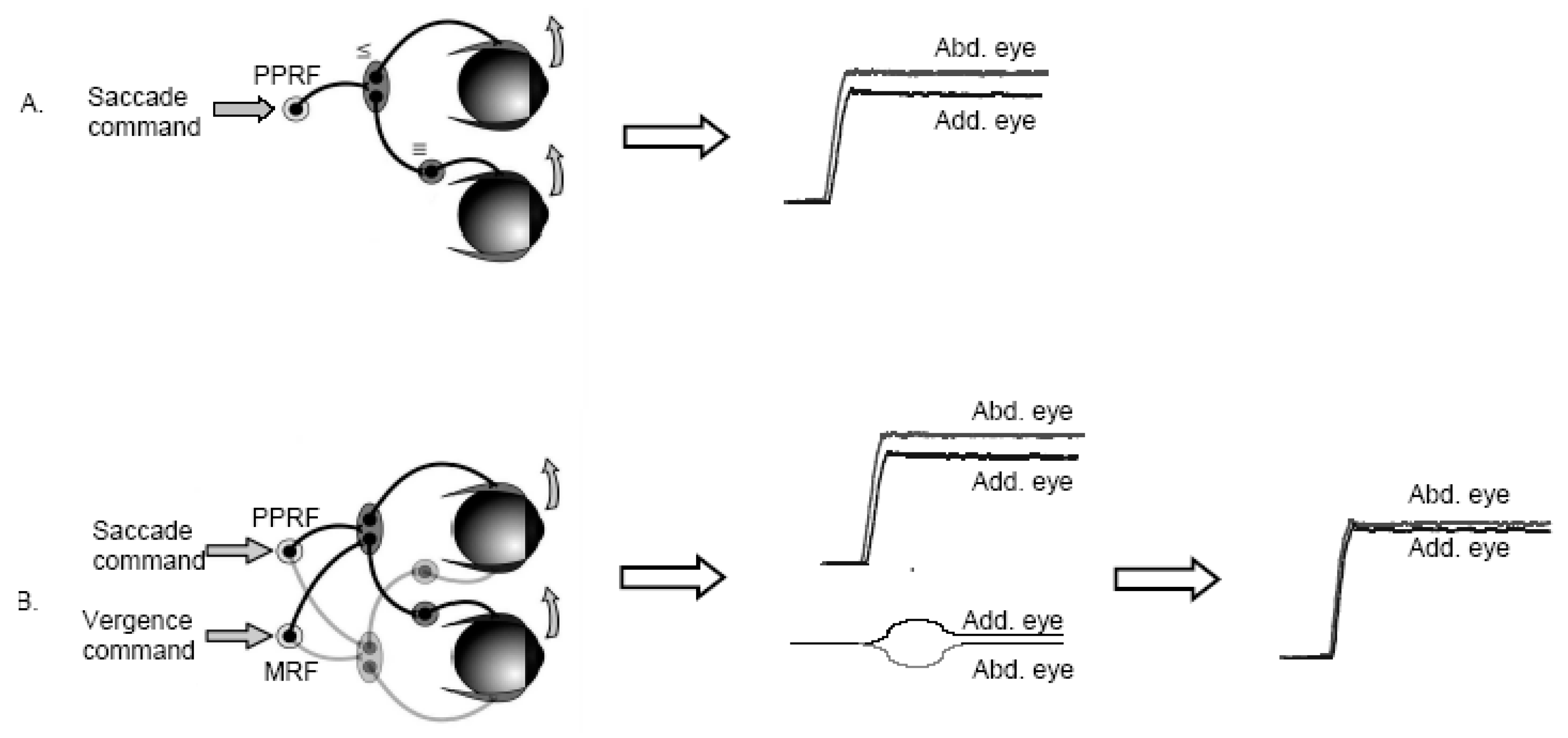 Jemr 02 00015 g001 Jemr 02 00015 g001
