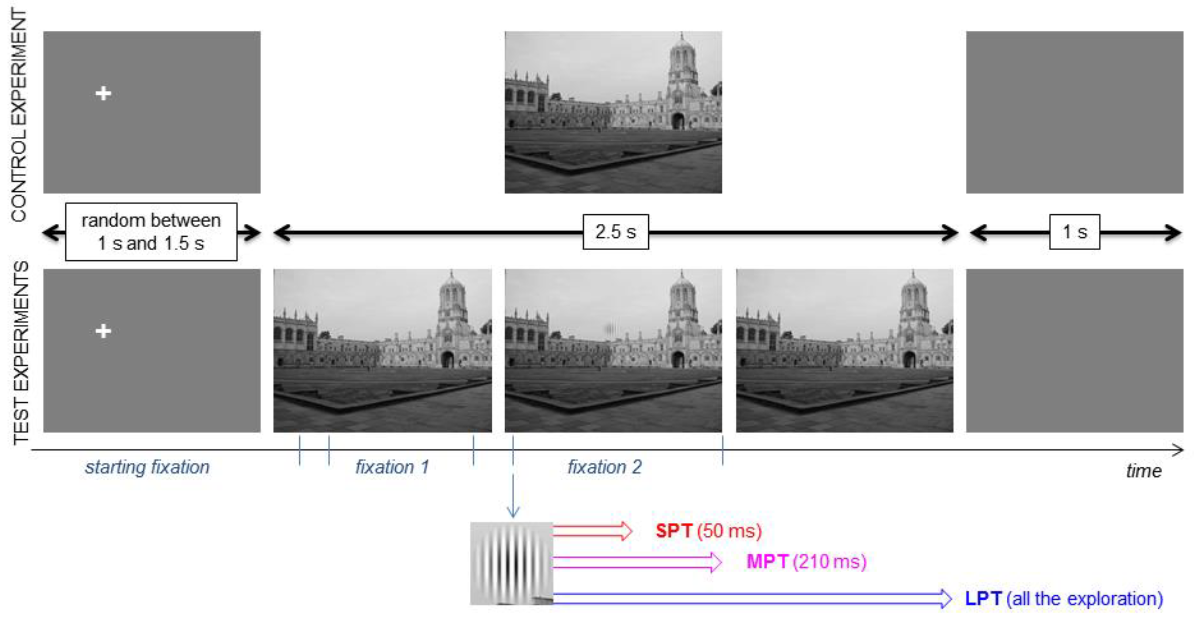 Jemr 10 00009 g002 Jemr 10 00009 g002