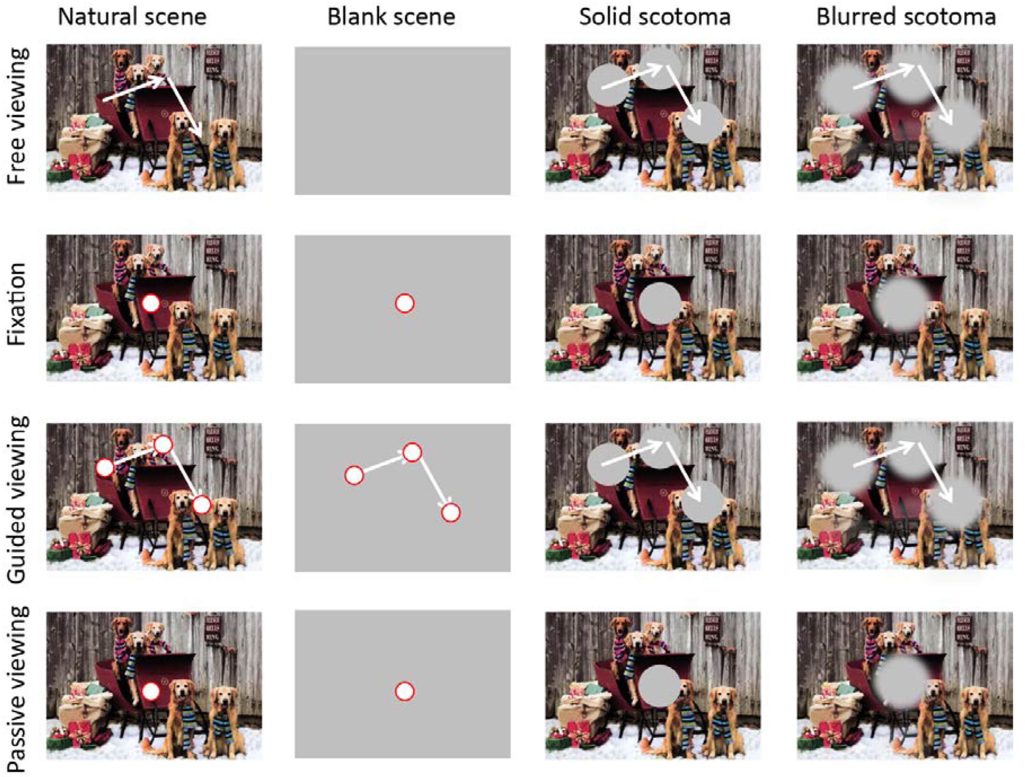 Jemr 12 00049 g001 Jemr 12 00049 g001